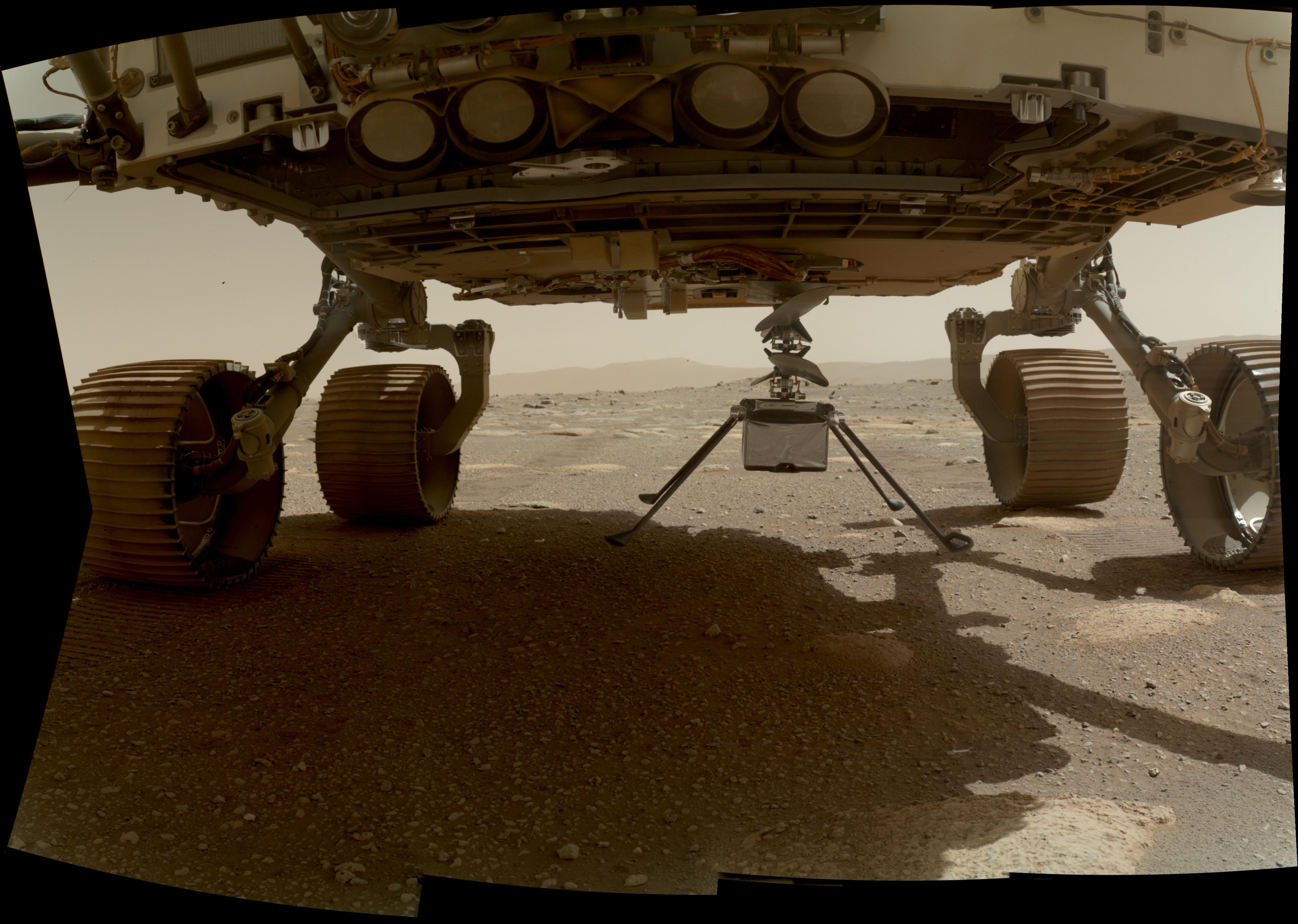 The Mars Ingenuity Helicopter, all four landing legs down, was captured here on sol 39 (March 30) slung beneath the belly of the Perseverance rover. The near ground level view is a mosaic of images from the WATSON camera on the rover's SHERLOC robotic arm. Near the center of the frame the experimental helicopter is suspended just a few centimeters above the martian surface. Tracks from Perseverance extend beyond the rover's wheels with the rim of Jezero crater visible about 2 kilometers in the distance. Ingenuity has a weight of 1.8 kilograms or 4 pounds on Earth. That corresponds to a weight of 0.68 kilograms or 1.5 pounds on Mars. With rotor blades spanning 1.2 meters it will attempt to make the first powered flight of an aircraft on another planet in the thin martian atmosphere, 1 percent as dense as Earth's, no earlier than April 11.