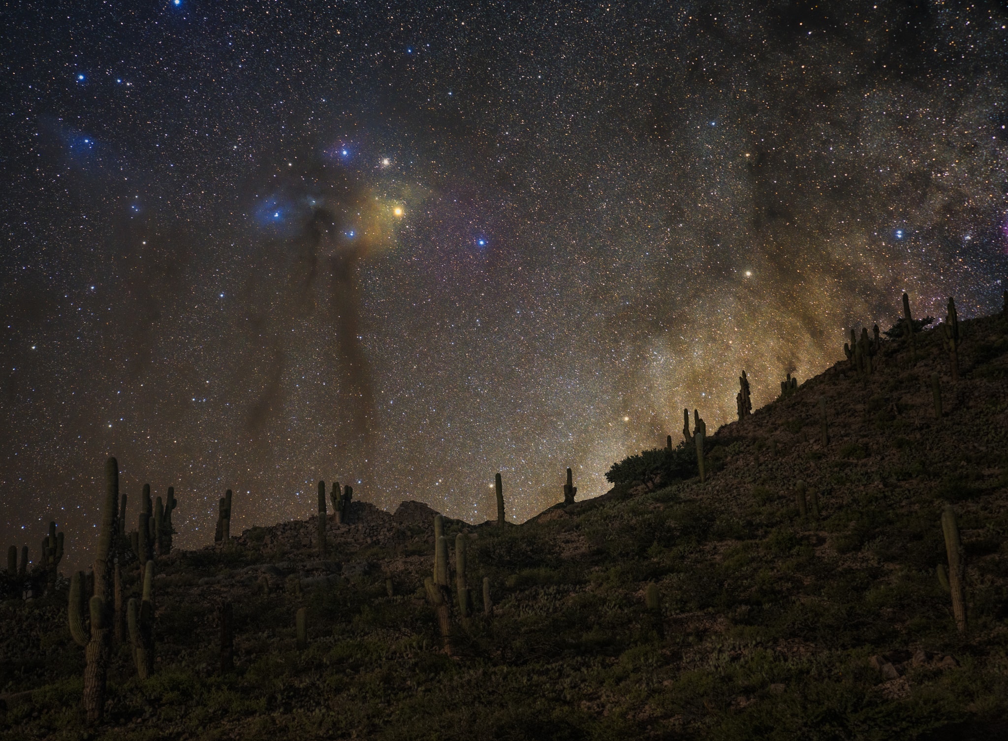 In this evocative night scene a dusty central Milky Way rises over the ancient Andean archaeological site of Yacoraite in northwestern Argentina. The denizens of planet Earth reaching skyward are the large Argentine saguaro cactus currently native to the arid region. The unusual yellow-hued reflection nebula above is created by dust scattering starlight around red giant star Antares. Alpha star of the constellation Scorpius, Antares is over 500 light-years distant. Next to it bright blue Rho Ophiuchi is embedded in more typical dusty bluish reflection nebulae though. The deep night skyscape was created from a series of background exposures of the rising stars made while tracking the sky, and a foreground exposure of the landscape made with the camera and lens fixed on the tripod. In combination they produce the single stunning image and reveal a range of brightness and color that your eye can't quite perceive on its own.