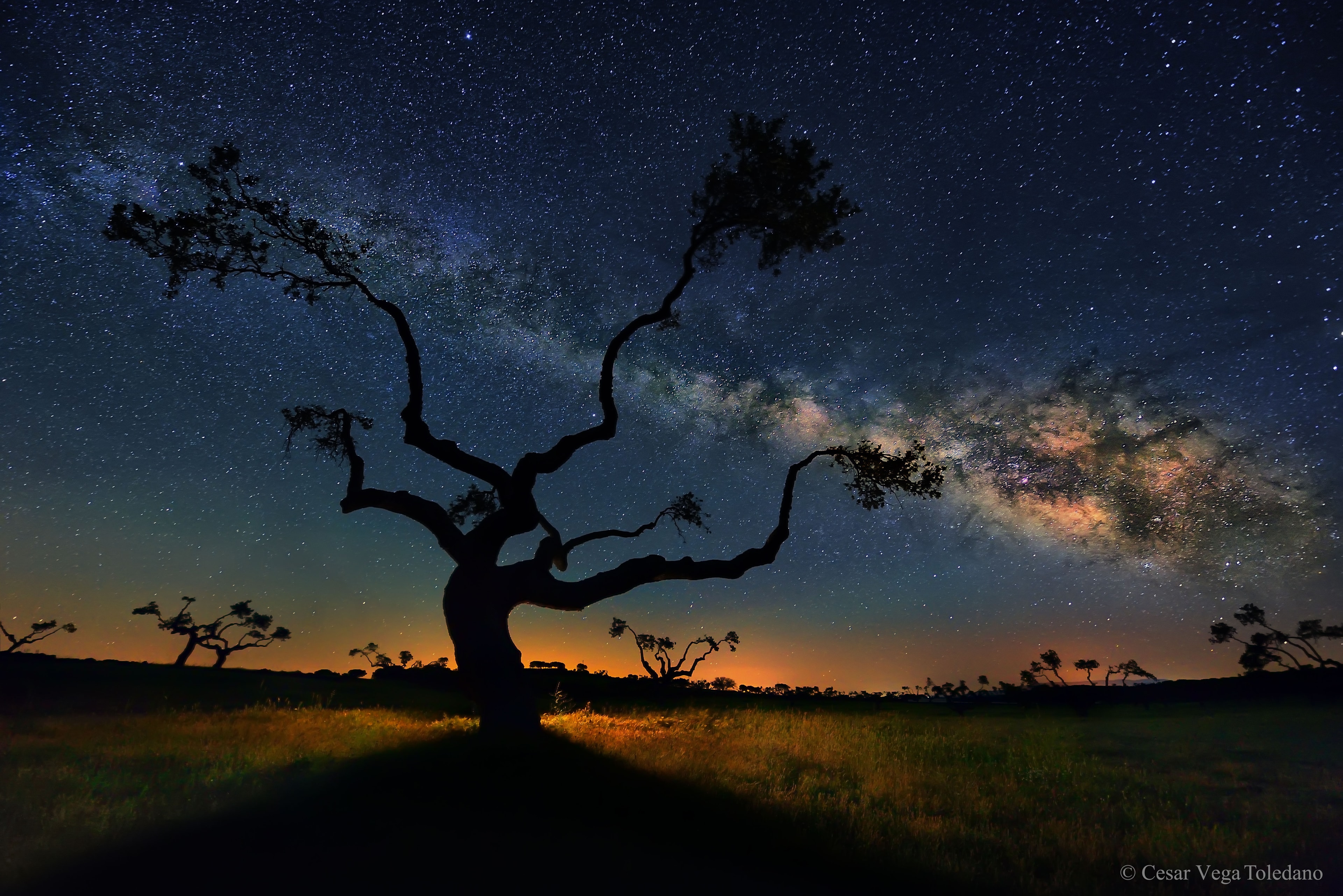 First came the trees. In the town of Salamanca, Spain, the photographer noticed how distinctive a grove of oak trees looked after being pruned.  Next came the galaxy. The photographer stayed up until 2 am, waiting until the Milky Way Galaxy rose above the level of a majestic looking oak.  From this carefully chosen perspective, dust lanes in the galaxy appear to be natural continuations to branches of the tree.  Last came the light. A flashlight was used on the far side of the tree to project a silhouette. By coincidence, other trees also appeared as similar silhouettes across the relatively bright horizon. The featured image was captured as a single 30-second frame in 2015 and processed to digitally enhance the Milky Way.