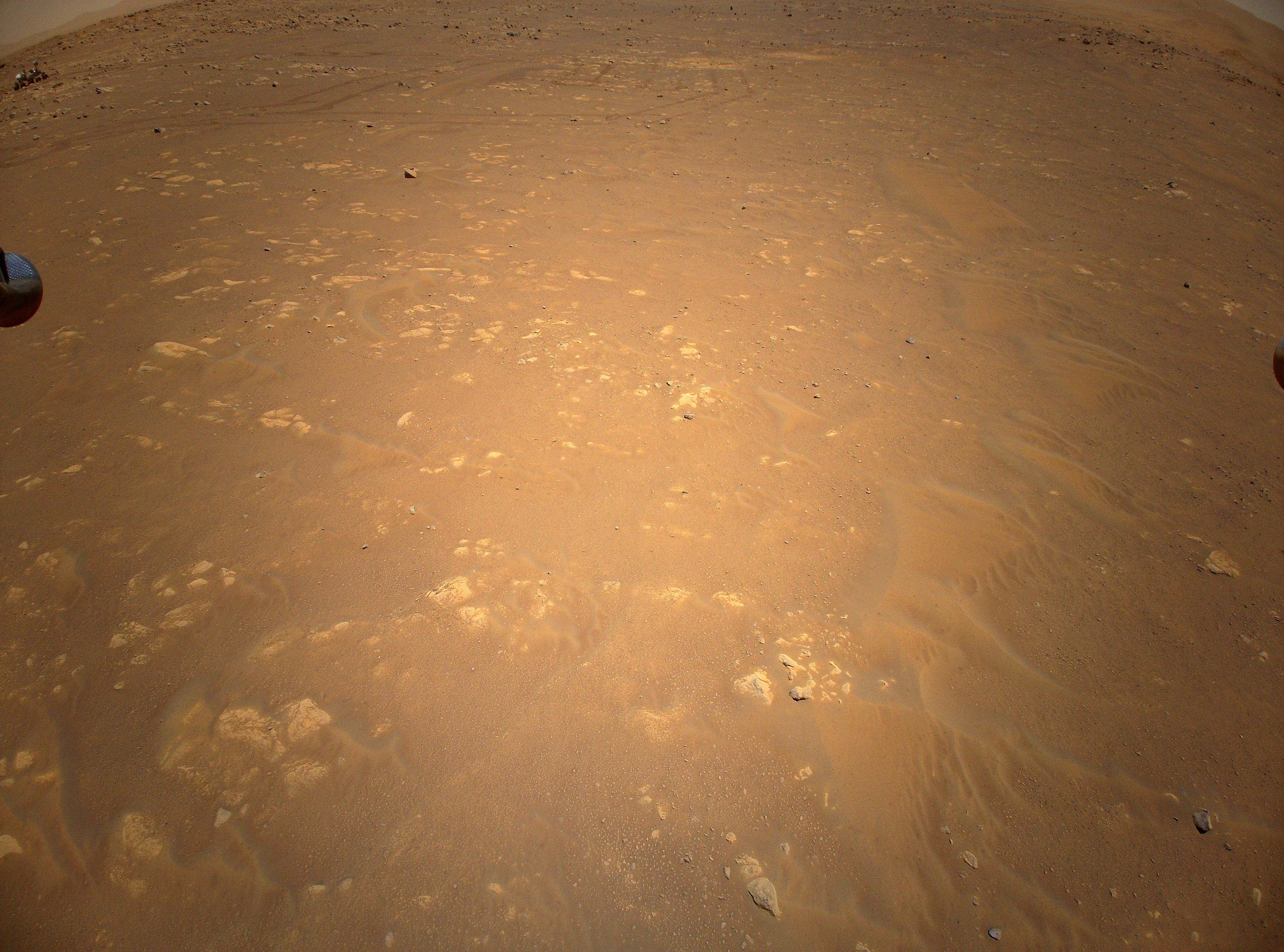 Flying at an altitude of 5 meters (just over 16 feet), on April 25 the Ingenuity helicopter snapped this sharp image. On its second flight above the surface of Mars, its color camera was looking back toward Ingenuity's current base at Wright Brothers Field and Octavia E. Butler Landing marked by the tracks of the Perseverance rover at the top of the frame. Perseverance itself looks on from the upper left corner about 85 meters away. Tips of Ingenuity's landing legs just peek over the left and right edges of the camera's field of view. Its record setting fourth flight completed on April 30, Ingenuity collected images of a potential new landing zone before returning to Wright Brothers Field. Ingenuity's fifth flight would be one-way though as the Mars aircraft moves on to the new airfield, anticipating a new phase of operational demonstration flights.