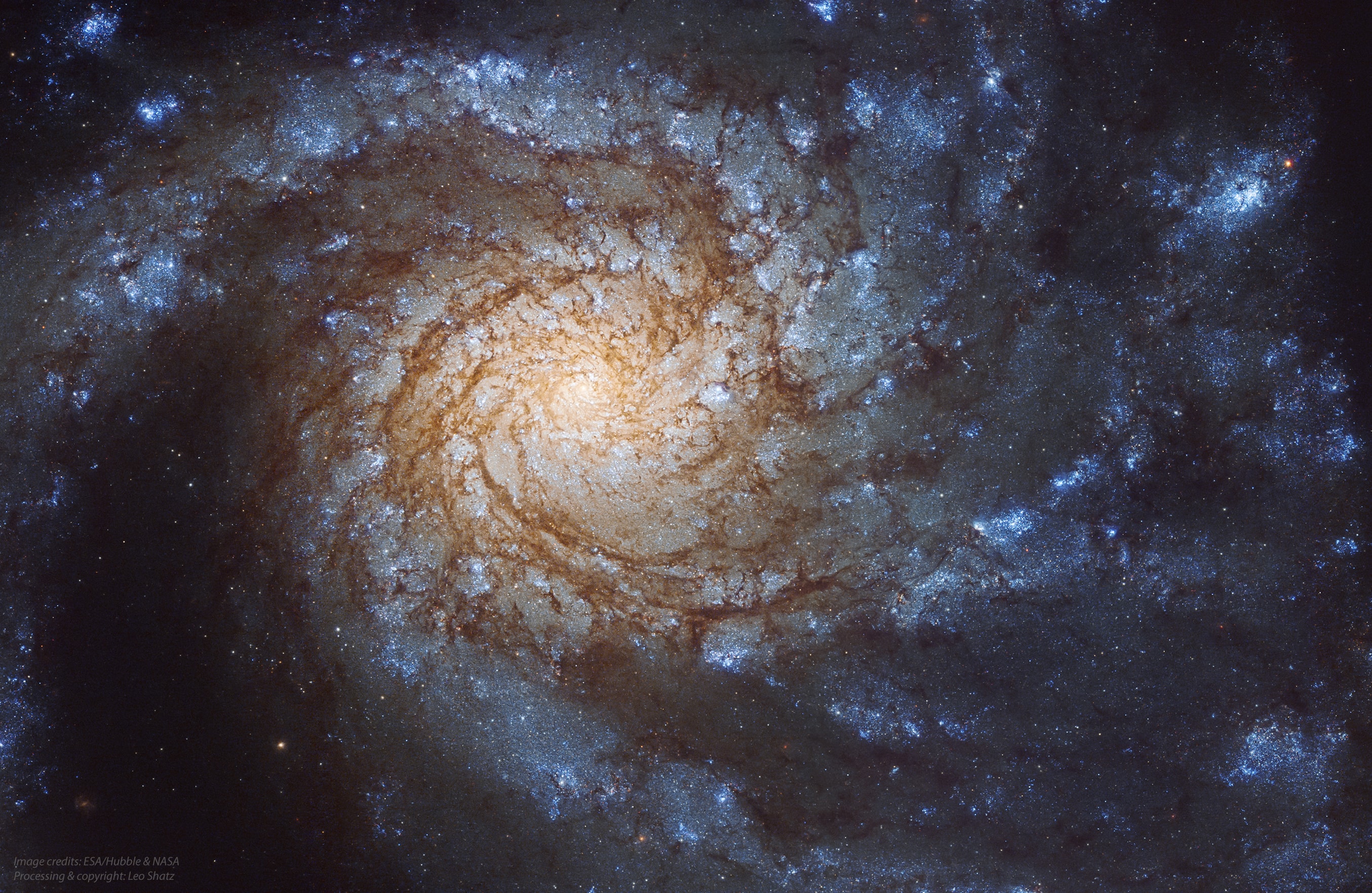 Grand design spiral galaxy Messier 99 looks majestic on a truly cosmic scale. This recently processed full galaxy portrait stretches over 70,000 light-years across M99. The sharp view is a combination of ultraviolet, visible, and infrared image data from the Hubble Space Telescope. About 50 million light-years distant toward the well-groomed constellation Coma Bernices, the face-on spiral is a member of the nearby Virgo Galaxy Cluster. Also cataloged as NGC 4254, a close encounter with another Virgo cluster member has likely influenced the shape of its well-defined, blue spiral arms.