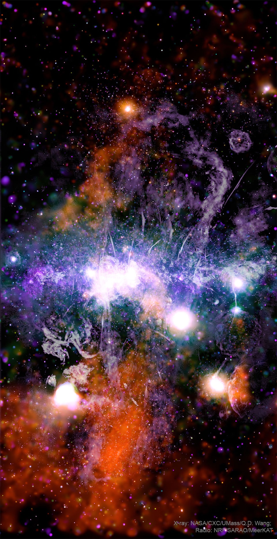 What's going on near the center of our galaxy? To help find out, a newly detailed panorama has been composed that explores regions just above and below the galactic plane in radio and X-ray light.  X-ray light taken by the orbiting Chandra Observatory is shown in orange (hot), green (hotter), and purple (hottest) and superposed with a highly detailed image in radio waves, shown in gray, acquired by the MeerKAT array.  Interactions are numerous and complex. Galactic beasts such as expanding supernova remnants, hot winds from newly formed stars, unusually strong and colliding magnetic fields, and a central supermassive black hole are all battling in a space only 1000 light years across.  Thin bright stripes appear to result from twisting and newly connecting magnetic fields in colliding regions, creating an energetic type of inner galactic space weather with similarities to that created by our Sun.  Continued observations and study hold promise to not only shed more light on the history and evolution of our own galaxy -- but all galaxies.
