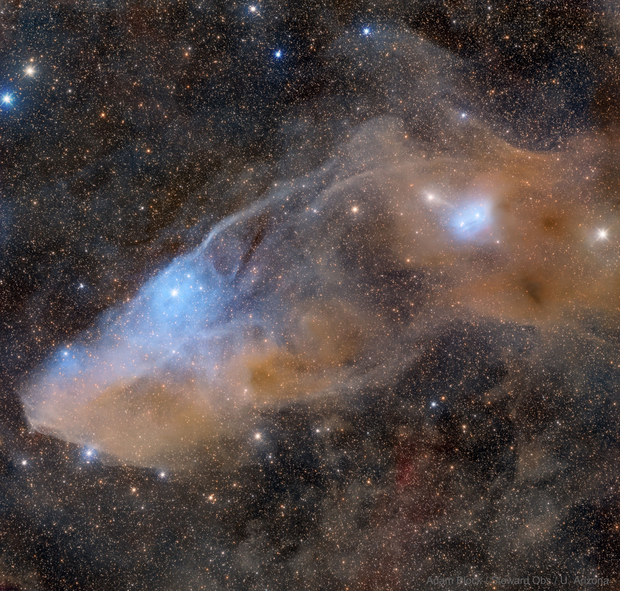 Do you see the horse's head?   What you are seeing is not the famous Horsehead nebula toward Orion but rather a fainter nebula that only takes on a familiar form with deeper imaging.  The main part of the here imaged molecular cloud complex is a reflection nebula cataloged as IC 4592.  Reflection nebulas are actually made up of very fine dust that normally appears dark but can look quite blue when reflecting the visible light of energetic nearby stars.  In this case, the source of much of the reflected light is a star at the eye of the horse.  That star is part of Nu Scorpii, one of the brighter star systems toward the constellation of the Scorpion (Scorpius).   A second reflection nebula dubbed IC 4601 is visible surrounding two stars to the right of the image center.   Almost Hyperspace: Random APOD Generator