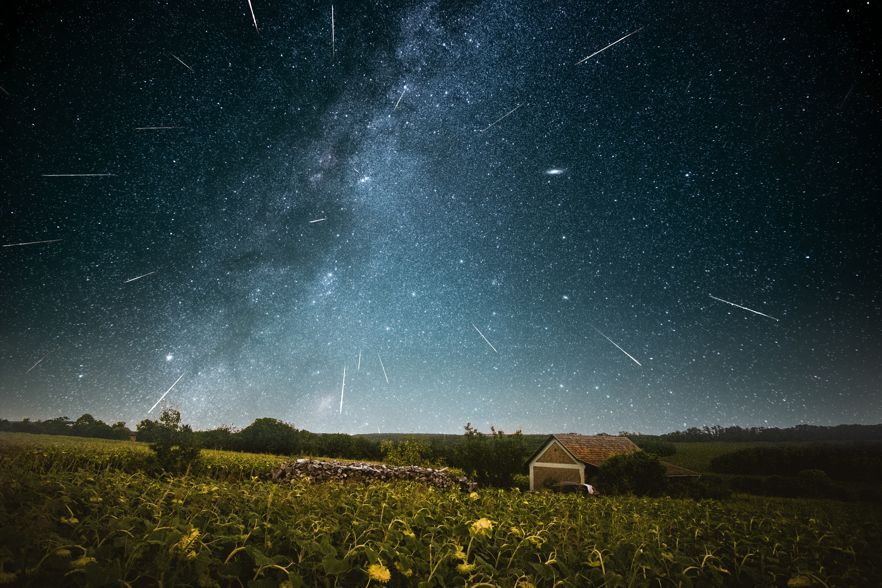 Frames from a camera that spent three moonless nights under the stars create this composite night skyscape. They were recorded during August 11-13 while planet Earth was sweeping through the dusty trail of comet Swift-Tuttle. One long exposure, untracked for the foreground, and the many star tracking captures of Perseid shower meteors were taken from the village of Magyaregres, Hungary. Each aligned against the background stars, the meteor trails all point back to the annual shower's radiant in the constellation Perseus heroically standing above this rural horizon. Of course the comet dust particles are traveling along trajectories parallel to each other. The radiant effect is due only to perspective, as the parallel tracks appear to converge in the distance against the starry sky.   Notable APOD Image Submissions: Perseid Meteor Shower 2021