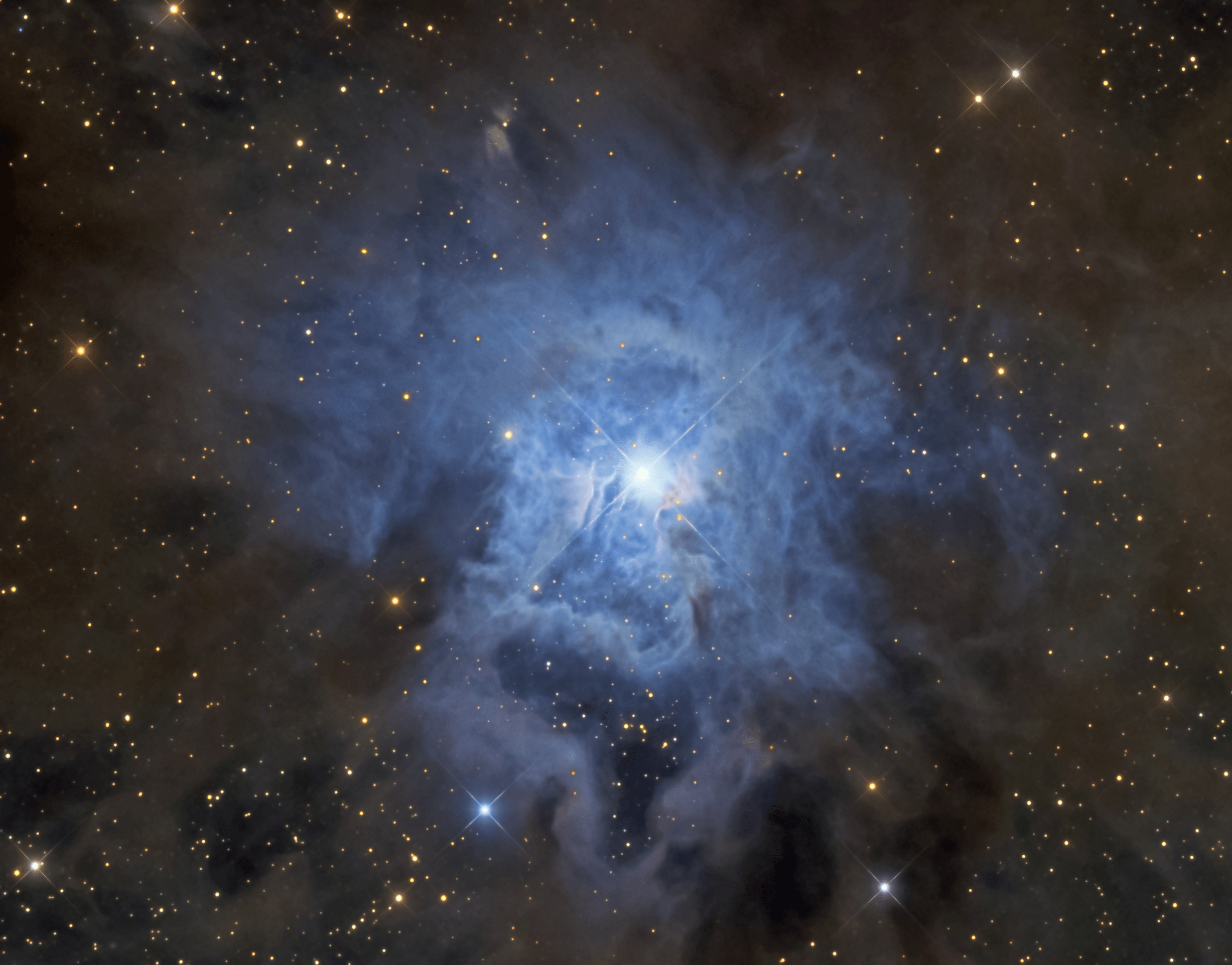 These cosmic clouds have blossomed 1,300 light-years away, in the fertile starfields of the constellation Cepheus. Called the Iris Nebula, NGC 7023 is not the only nebula to evoke the imagery of flowers. Still, this deep telescopic image shows off the Iris Nebula's range of colors and symmetries, embedded in surrounding fields of interstellar dust. Within the Iris itself, dusty nebular material surrounds a hot, young star. The dominant color of the brighter reflection nebula is blue, characteristic of dust grains reflecting starlight. Central filaments of the reflection nebula glow with a faint reddish photoluminesence as some dust grains effectively convert the star's invisible ultraviolet radiation to visible red light. Infrared observations indicate that this nebula contains complex carbon molecules known as PAHs. The dusty blue petals of the Iris Nebula span about six light-years.