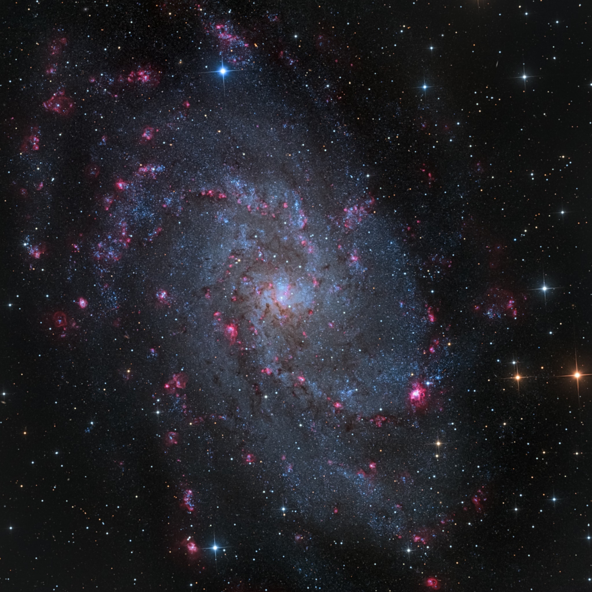 The small, northern constellation Triangulum harbors this magnificent face-on spiral galaxy, M33. Its popular names include the Pinwheel Galaxy or just the Triangulum Galaxy. M33 is over 50,000 light-years in diameter, third largest in the Local Group of galaxies after the Andromeda Galaxy (M31), and our own Milky Way. About 3 million light-years from the Milky Way, M33 is itself thought to be a satellite of the Andromeda Galaxy and astronomers in these two galaxies would likely have spectacular views of each other's grand spiral star systems. As for the view from planet Earth, this sharp image shows off M33's blue star clusters and pinkish star forming regions along the galaxy's loosely wound spiral arms. In fact, the cavernous NGC 604 is the brightest star forming region, seen here at about the 4 o'clock position from the galaxy center. Like M31, M33's population of well-measured variable stars have helped make this nearby spiral a cosmic yardstick for establishing the distance scale of the Universe.