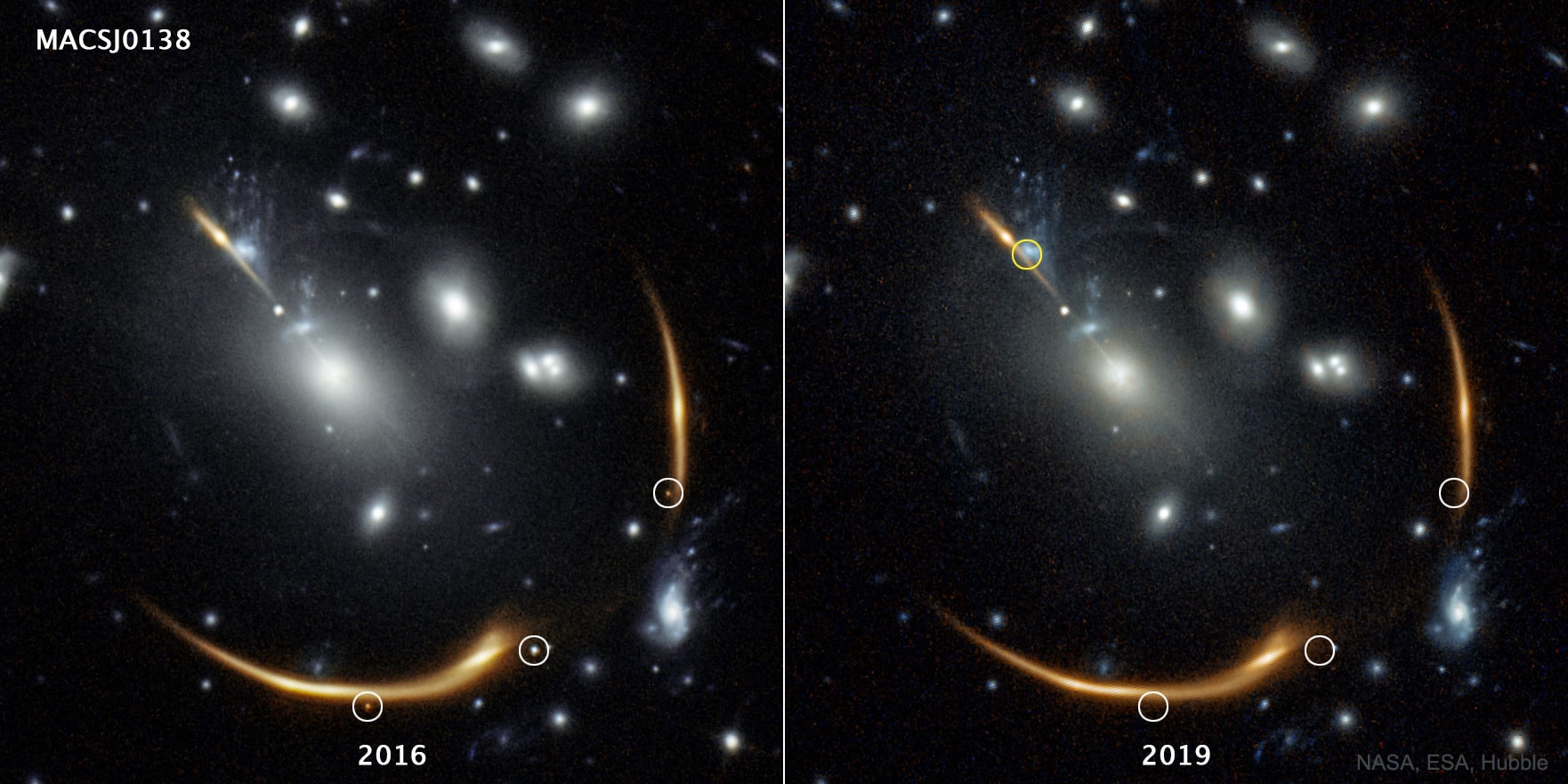 We've seen this same supernova three times -- when will we see it a fourth?  When a distant star explodes in a supernova, we're lucky if we see it even once. In the case of AT 2016jka ("SN Requiem"), because the exploding star happened to be lined up behind the center of a galaxy cluster (MACS J0138 in this case), a comparison of Hubble Space Telescope images demonstrate that we saw it three times. These three supernova images are highlighted in circles near the bottom of the left frame taken in 2016. On the right frame, taken in 2019, the circles are empty because all three images of the single supernova had faded. Computer modeling of the cluster lens, however, indicates that a fourth image of the same supernova should eventually appear in the upper circle on the right image. But when? The best models predict this will happen in 2037, but this date is uncertain by about two years because of ambiguities in the mass distribution of the cluster lens and the brightness history of the stellar explosion. With refined predictions and vigilant monitoring, Earthlings living 16 years from now may be able to catch this fourth image -- and perhaps learn more about both galaxy clusters and supernovas at once.    Discovery + Outreach: Graduate student research position open for APOD