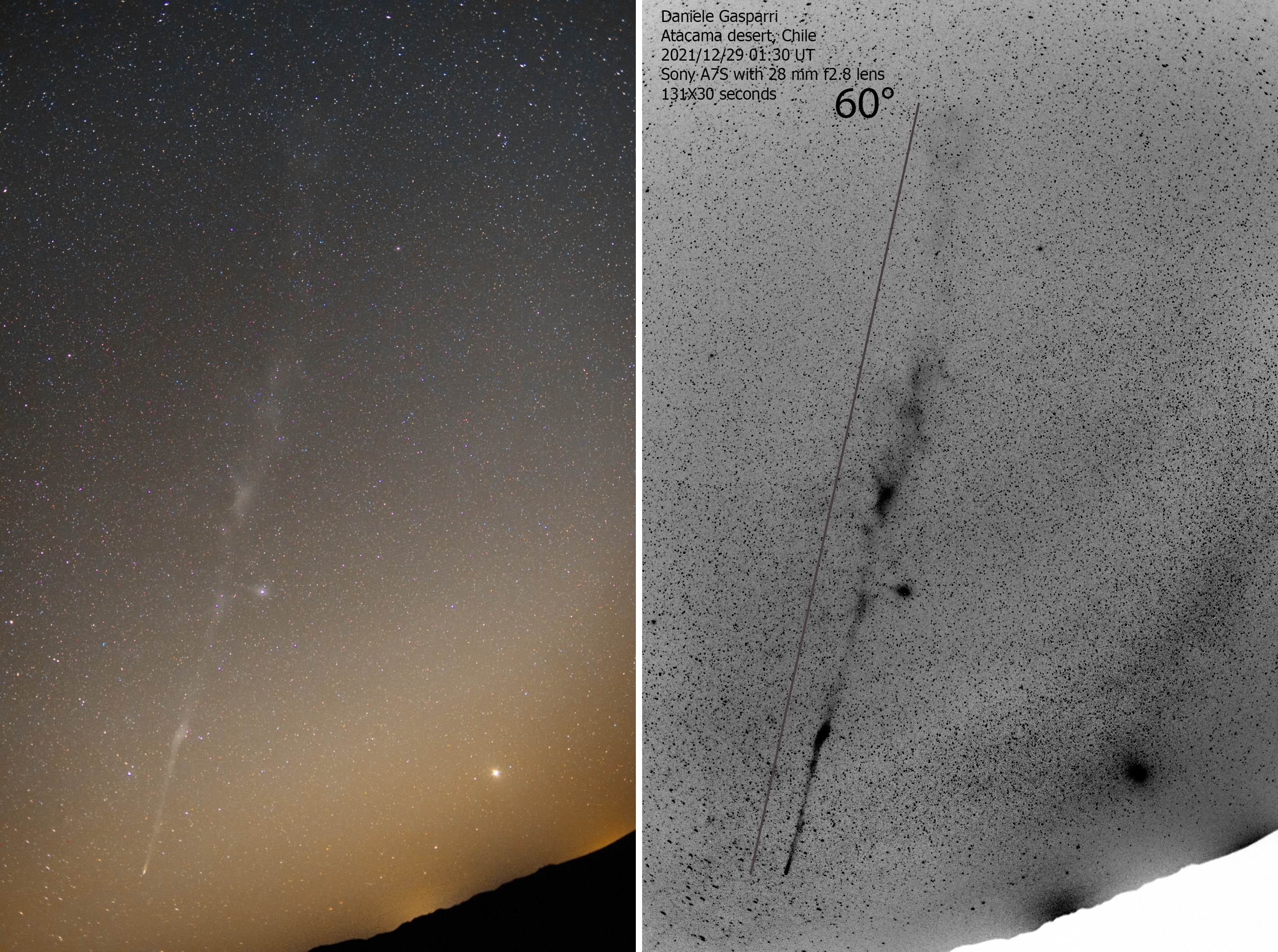 Comet Leonard, brightest comet of 2021, is at the lower left of these two panels captured on December 29 in dark Atacama desert skies. Heading for its perihelion on January 3 Comet Leonard's visible tail has grown. Stacked exposures with a wide angle lens (also displayed in a reversed B/W scheme for contrast), trace the complicated ion tail for an amazing 60 degrees, with bright Jupiter shining near the horizon at lower right. Material vaporizing from Comet Leonard's nucleus, a mass of dust, rock, and ices about 1 kilometer across, has produced the long tail of ionized gas fluorescing in the sunlight. Likely flares on the comet's nucleus and buffeting by magnetic fields and the solar wind in recent weeks have resulted in the tail's irregular pinched and twisted appearance. Still days from its closest approach to the Sun, Comet Leonard's activity should continue. The comet is south of the Solar System's ecliptic plane as it sweeps through the southern constellation Microscopium.