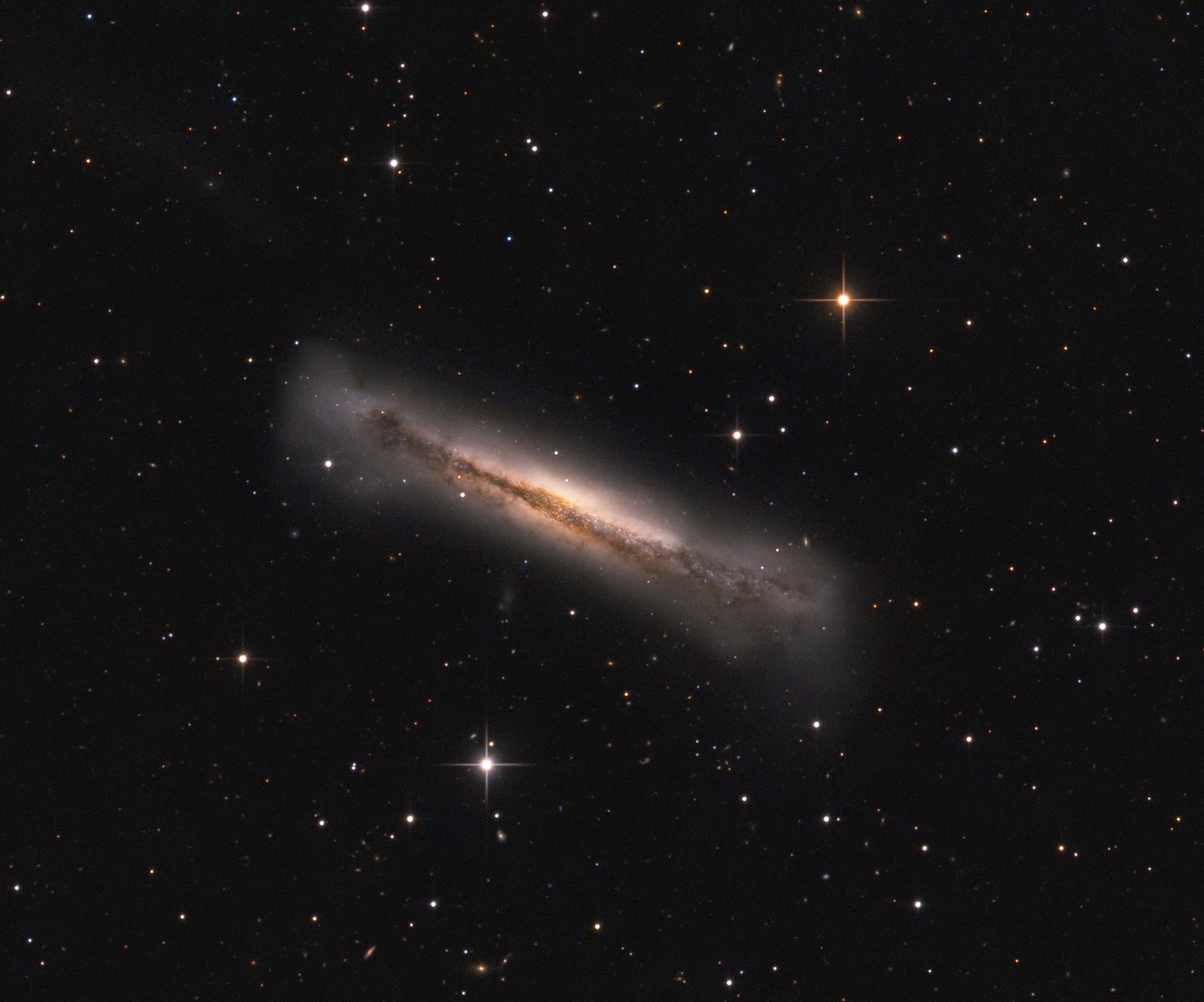 Sharp telescopic views of NGC 3628 show a puffy galactic disk divided by dark dust lanes. Of course, this portrait of the magnificent, edge-on spiral galaxy puts some astronomers in mind of its popular moniker, the Hamburger Galaxy. It also reveals a small galaxy nearby (below), likely a satellite of NGC 3628, and a very faint but extensive tidal tail. The drawn out tail stretches for about 300,000 light-years, even beyond the upper left edge of the frame. NGC 3628 shares its neighborhood in the local universe with two other large spirals M65 and M66 in a grouping otherwise known as the Leo Triplet. Gravitational interactions with its cosmic neighbors are likely responsible for creating the tidal tail, as well as the extended flare and warp of this spiral's disk. The tantalizing island universe itself is about 100,000 light-years across and 35 million light-years away in the northern springtime constellation Leo.