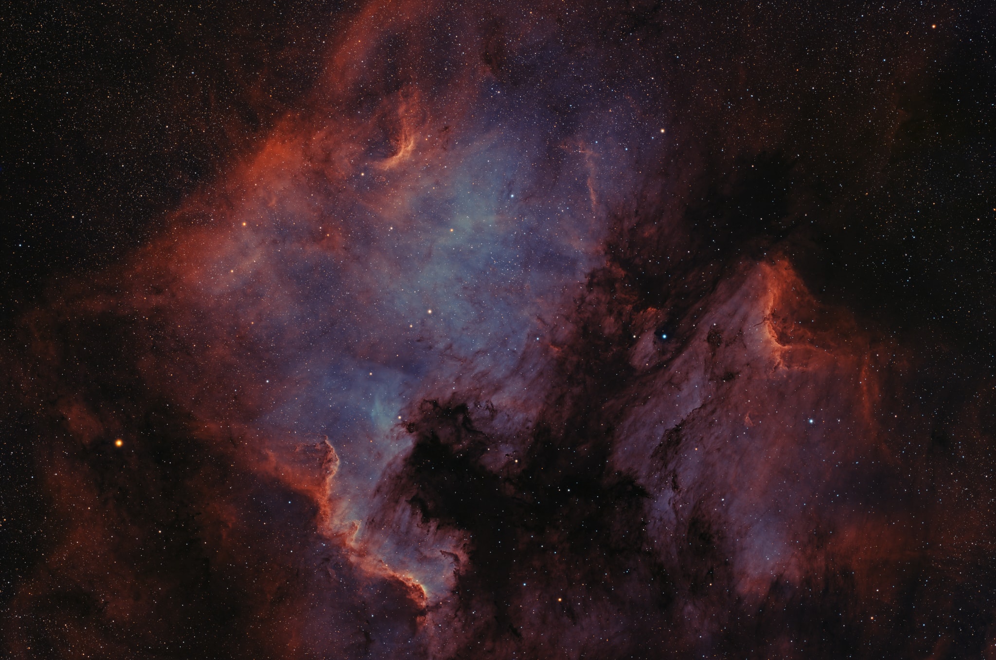 Fans of our fair planet might recognize the outlines of these cosmic clouds. On the left, bright emission outlined by dark, obscuring dust lanes seems to trace a continental shape, lending the popular name North America Nebula to the emission region cataloged as NGC 7000. To the right, just off the North America Nebula's east coast, is IC 5070, whose avian profile suggests the Pelican Nebula.  The two bright nebulae are about 1,500 light-years away, part of the same large and complex star forming region, almost as nearby as the better-known Orion Nebula. At that distance, the 3 degree wide field of view would span 80 light-years. This careful cosmic portrait uses narrowband images combined to highlight the bright ionization fronts and the characteristic glow from atomic hydrogen, and oxygen gas. These nebulae can be seen with binoculars from a dark location.  Look northeast of bright star Deneb in Cygnus the Swan, soaring high in the northern summer night sky.
