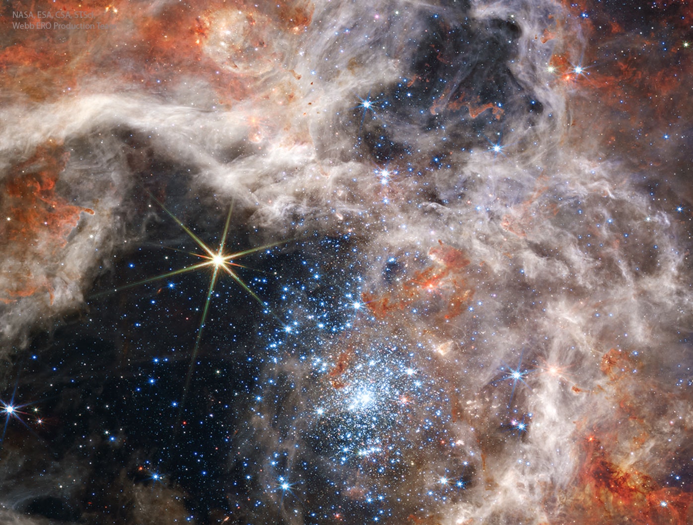 Near the center of a nearby star-forming region lies a massive cluster containing some of the largest and hottest stars known.  Collectively known as star cluster NGC 2070, these stars are part of the vast Tarantula Nebula and were captured in two kinds of infrared light by the new Webb Space Telescope.  The main image shows the group of stars at NGC 2070's center -- known as R136 -- in near-infrared, light just a bit too red for humans to see. In contrast, the rollover image captures the cluster center in mid-infrared light, light closer to radio waves.  Since R136's brightest stars emit more of their light in the near infrared, they are much more prominent on that image. This LMC cluster's massive stars emit particle winds and energetic light that are evaporating the gas cloud from which they formed. The Webb images, released yesterday, shows details of R136 and its surroundings that have never been seen before, details that are helping humanity to a better understanding of how all stars are born, evolve and die.