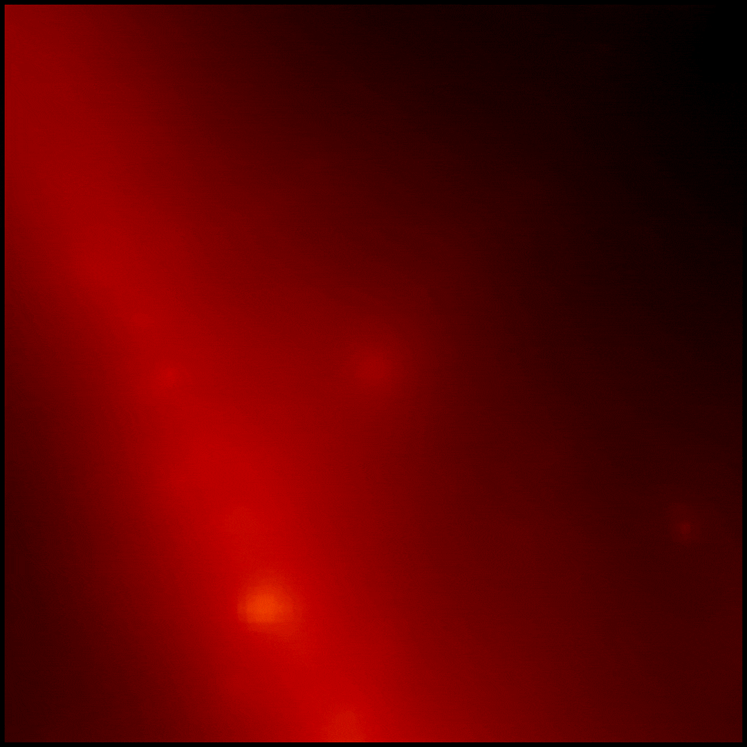 Gamma-ray burst GRB 221009A likely signals the birth of a new black hole, formed at the core of a collapsing star long ago in the distant universe. The extremely powerful blast is depicted in this animated gif constructed using data from the Fermi Gamma Ray Space Telescope. Fermi captured the data at gamma-ray energies, detecting photons with over 100 million electron volts. In comparison visible light photons have energies of about 2 electron volts. A steady, high energy gamma-ray glow from the plane of our Milky Way galaxy runs diagonally through the 20 degree wide frame at the left, while the transient gamma-ray flash from GRB 221009A appears at center and then fades. One of the brightest gamma-ray bursts ever detected GRB 221009A is also close as far as gamma-ray bursts go, but still lies about 2 billion light-years away. In low Earth orbit Fermi’s Large Area Telescope recorded gamma-ray photons from the burst for more than 10 hours as high-energy radiation from GRB 221009A swept over planet Earth last Sunday, October 9.