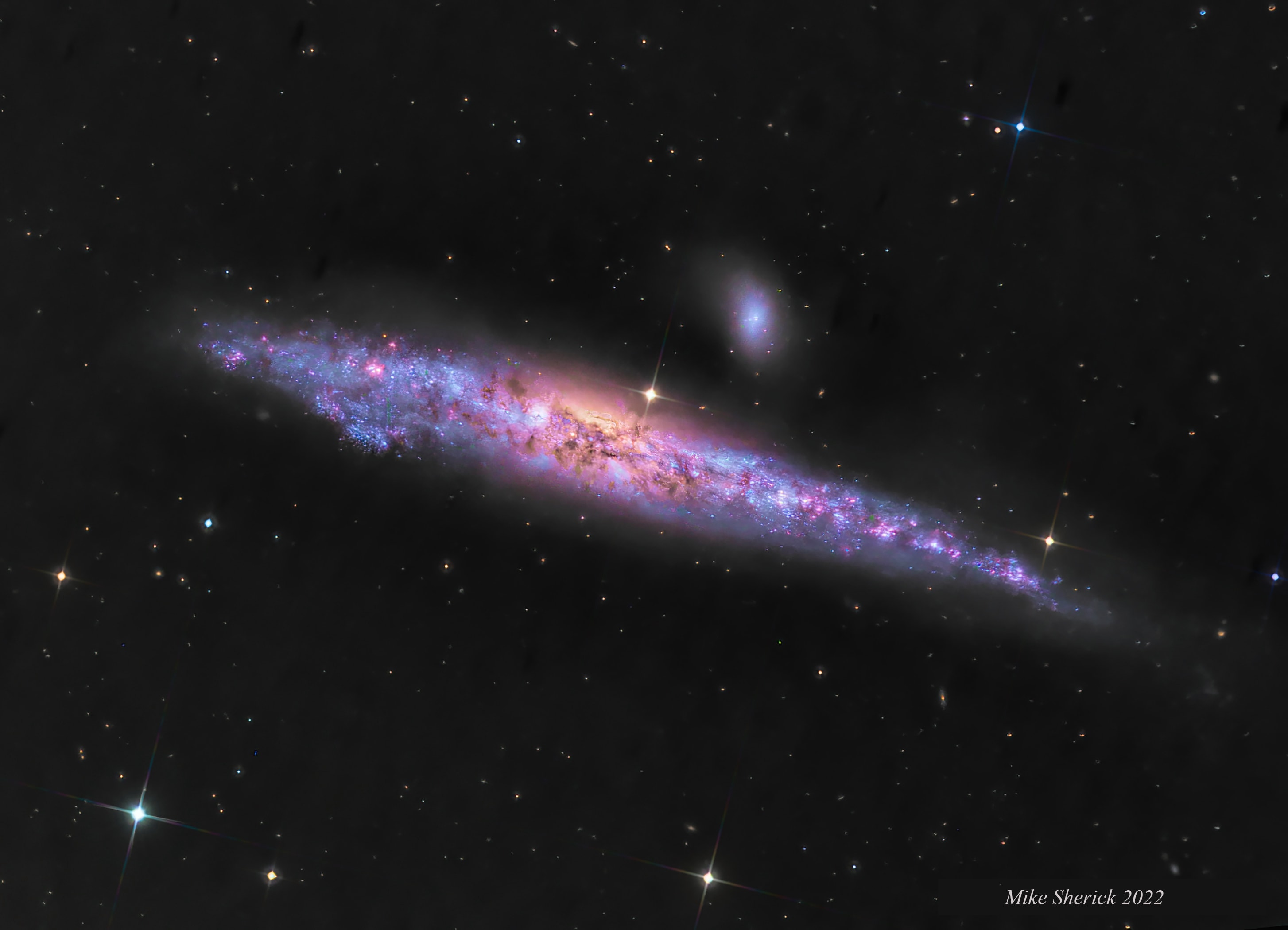 NGC 4631 is a big beautiful spiral galaxy. Seen edge-on, it lies only 25 million light-years away in the well-trained northern constellation Canes Venatici. The galaxy's slightly distorted wedge shape suggests to some a cosmic herring and to others its popular moniker, The Whale Galaxy. Either way, it is similar in size to our own Milky Way. In this sharp color image, the galaxy's yellowish core, dark dust clouds, bright blue star clusters, and red star forming regions are easy to spot. A companion galaxy, the small elliptical NGC 4627 is just above the Whale Galaxy. Faint star streams seen in deep images are the remnants of small companion galaxies disrupted by repeated encounters with the Whale in the distant past. The Whale Galaxy is also known to have spouted a halo of hot gas glowing in X-rays.