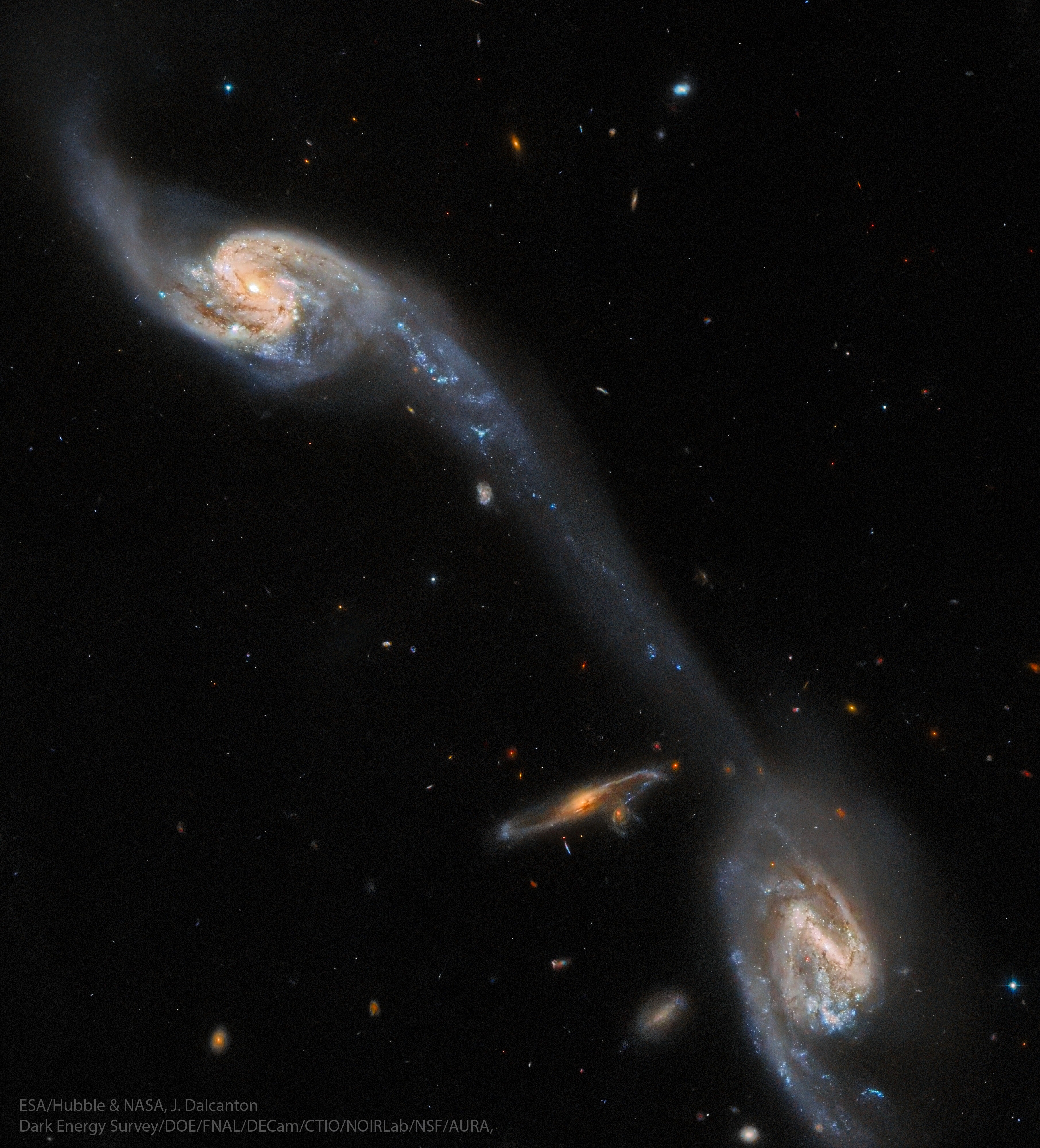 How many galaxies are interacting here?  This grouping of galaxies is called the Wild Triplet, not only for the discoverer, but for the number of bright galaxies that appear. It had been assumed that all three galaxies, collectively cataloged as Arp 248, are interacting, but more recent investigations reveal that only the brightest two galaxies are sparring gravitationally: the big galaxies at the top and bottom. The spiral galaxy in the middle of the featured image by the  Hubble Space Telescope is actually far in the distance, as is the galaxy just below it and all of the other numerous galaxies in the field.  A striking result of these giants jousting is a tremendous bridge of stars, gas, and dust that stretches between them -- a bridge almost 200,000 light-years long. Light we see today from Wild's Triplet left about 200 million years ago, when dinosaurs roamed the Earth. In perhaps a billion years or so, the two interacting galaxies will merge to form a single large spiral galaxy.   Lunar Eclipse of November 2022: Notable Submissions to APOD