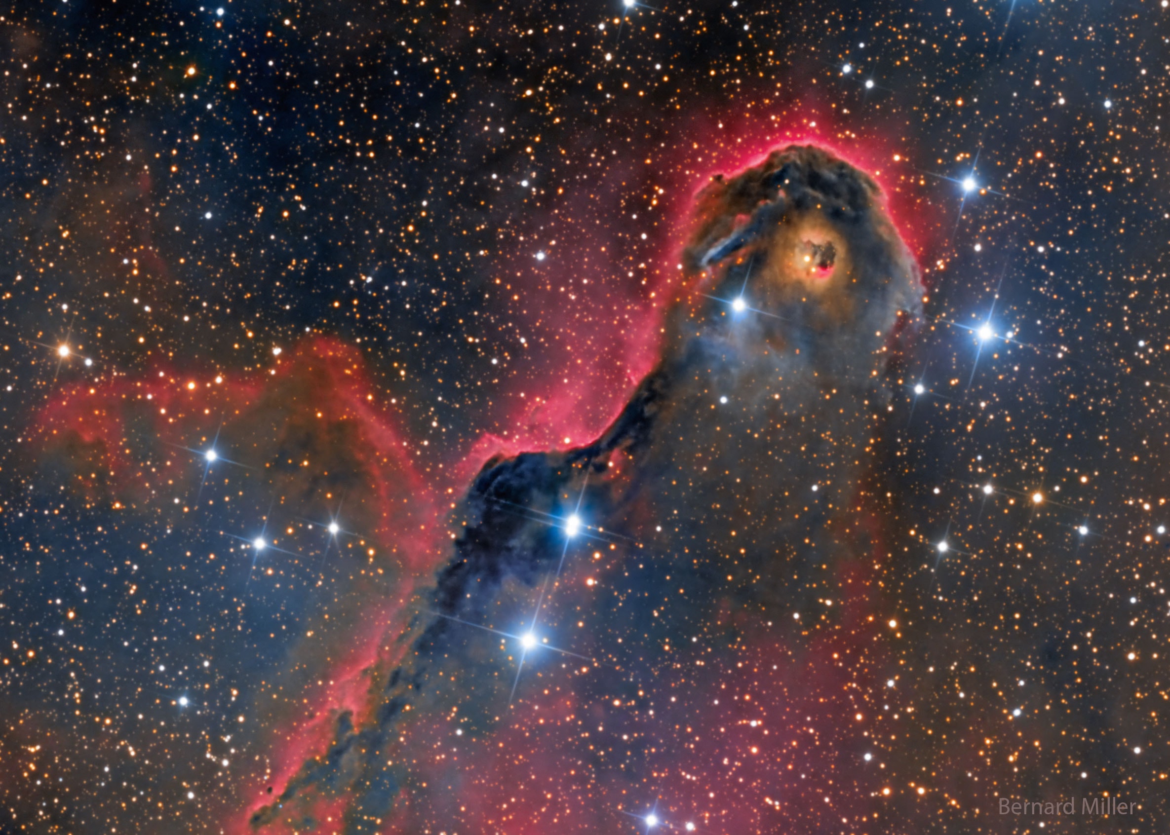 Is there a monster in IC 1396?  Known to some as the Elephant's Trunk Nebula, parts of gas and dust clouds of this star formation region may appear to take on foreboding forms, some nearly human.  The only real monster here, however, is a bright young star too far from Earth to hurt us.  Energetic light from this star is eating away the dust of the dark cometary globule near the top of the featured image.  Jets and winds of particles emitted from this star are also pushing away ambient gas and dust.  Nearly 3,000 light-years distant, the relatively faint IC 1396 complex covers a much larger region on the sky than shown here, with an apparent width of more than 10 full moons.