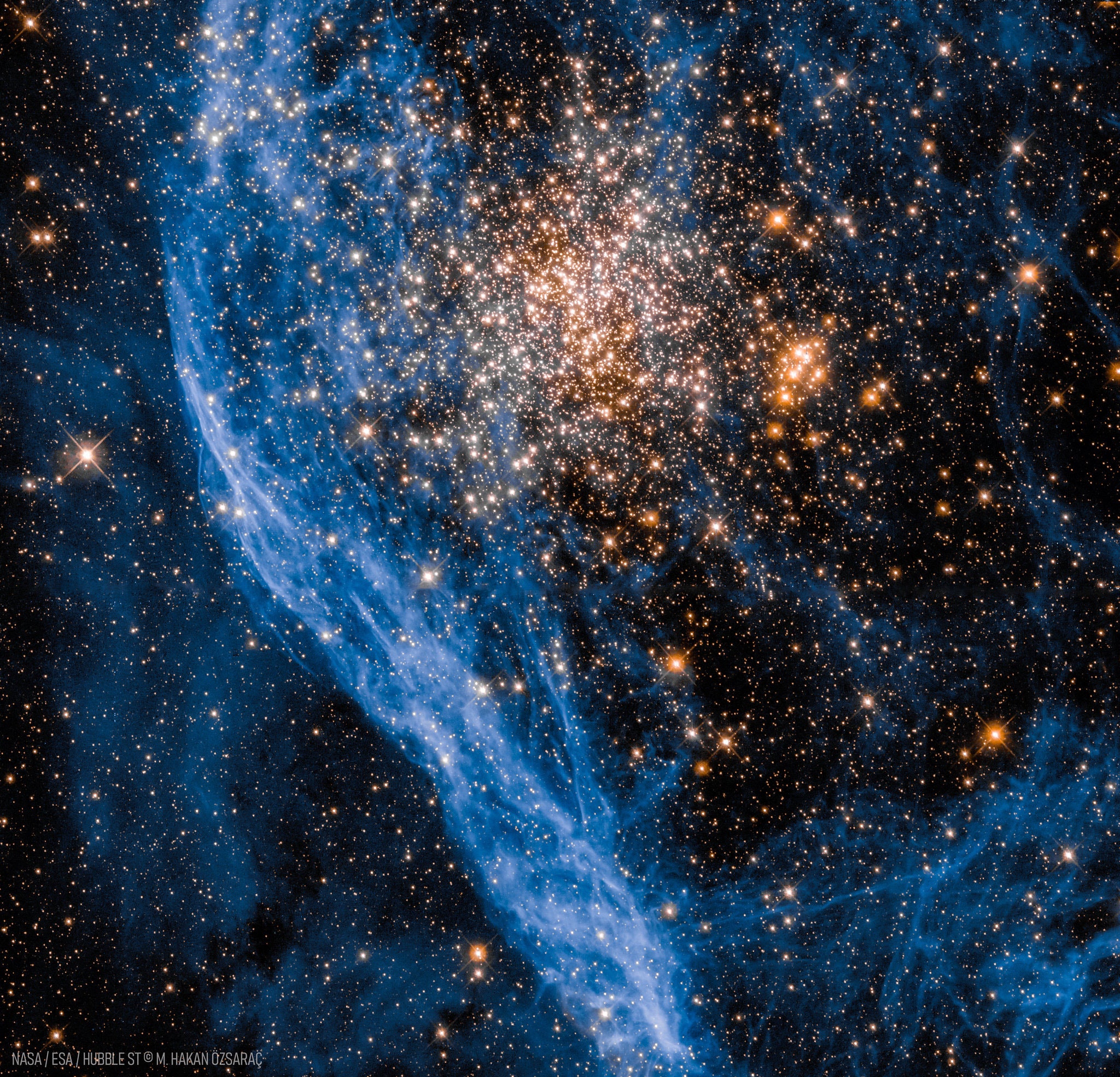 There is nothing like this ball of stars in our Milky Way Galaxy. This is surprising because, at first glance, this featured image by the Hubble Space Telescope suggests that star cluster NGC 1850's size and shape are reminiscent of the many ancient globular star clusters which roam our own Milky Way Galaxy's halo.  But NGC 1850's stars are all too young, making it a type of star cluster with no known counterpart in the Milky Way.  Moreover, NGC 1850 is also a double star cluster, with a second, compact cluster of stars visible here just to the right of the large cluster's center.  Stars in the large cluster are estimated to be 50 million years young, while stars in the compact cluster are younger still, with an age of about 4 million years.  A mere 168,000 light-years distant, NGC 1850 is located near the outskirts of the Large Magellanic Cloud galaxy.  The glowing gas filaments across the image left, like supernova remnants in our own galaxy, testify to violent stellar explosions and indicate that short-lived massive stars have recently been present in the region.