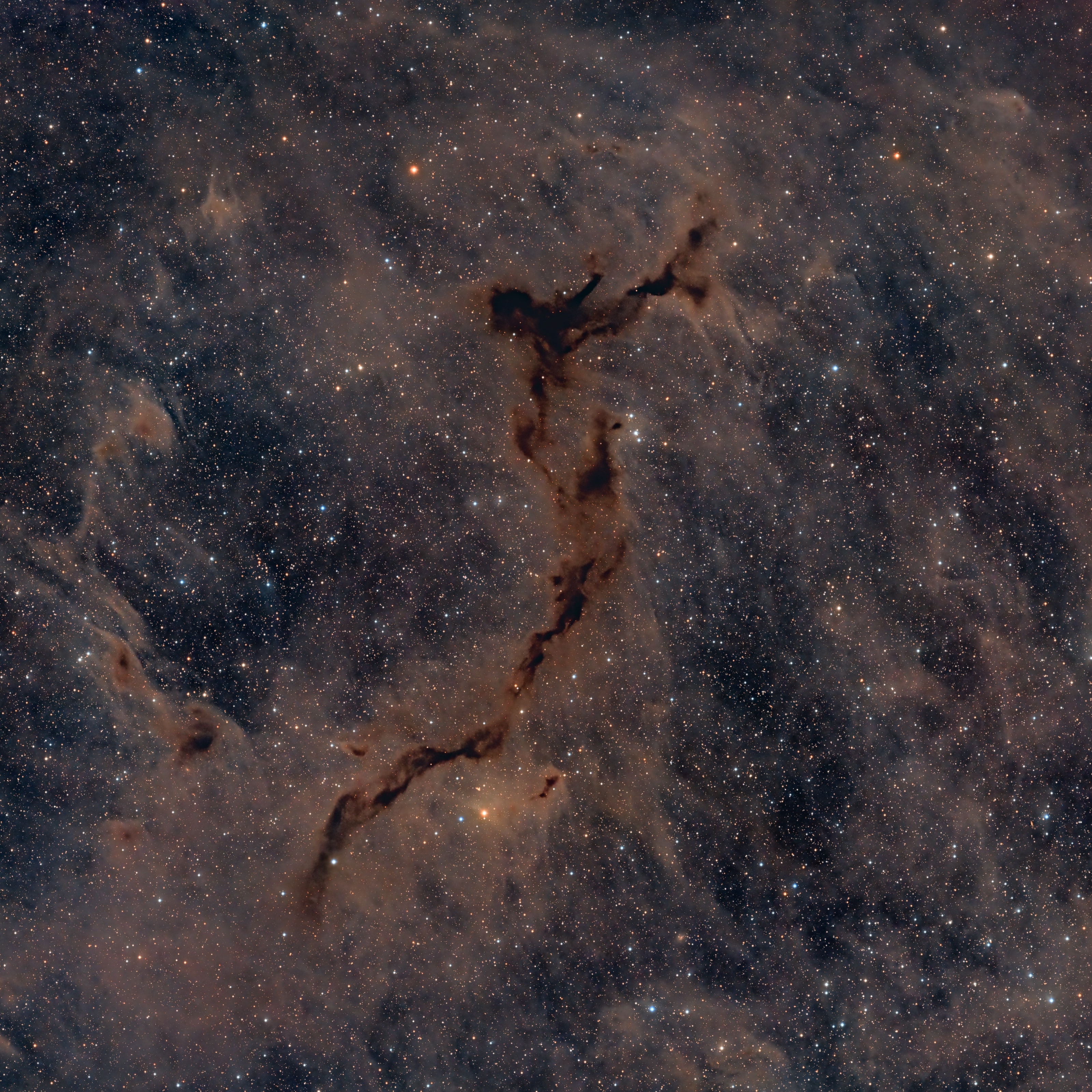 Spanning light-years, this suggestive shape known as the Seahorse Nebula appears in silhouette against a rich, luminous background of stars. Seen toward the royal northern constellation of Cepheus, the dusty, obscuring clouds are part of a Milky Way molecular cloud some 1,200 light-years distant. It is also listed as Barnard 150 (B150), one of 182 dark markings of the sky cataloged in the early 20th century by astronomer E. E. Barnard. Packs of low mass stars are forming within, but their collapsing cores are only visible at long infrared wavelengths. Still, the colorful stars of Cepheus add to this pretty, galactic skyscape.