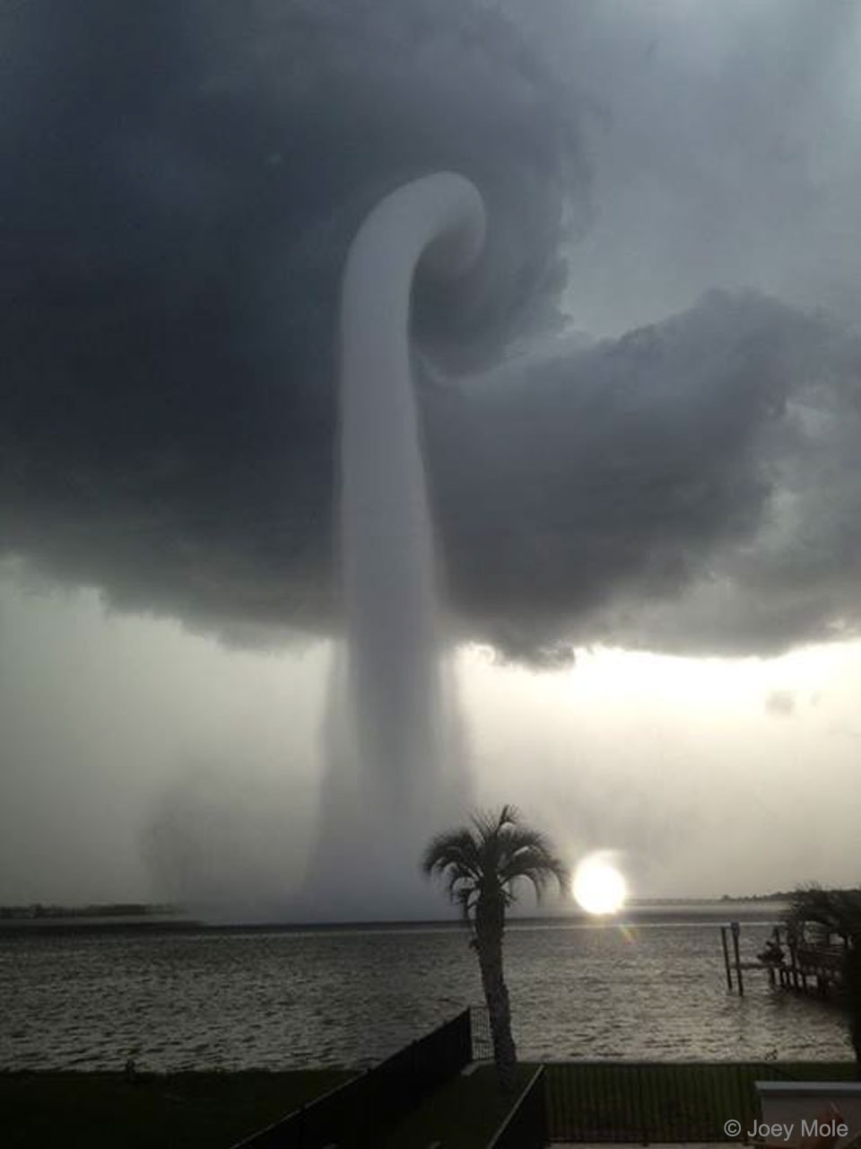 What's happening over the water?  Pictured here is one of the better images yet recorded of a waterspout, a type of tornado that occurs over water.  Waterspouts are spinning columns of rising moist air that typically form over warm water. Waterspouts can be as dangerous as tornadoes and can feature wind speeds over 200 kilometers per hour.  Some waterspouts form away from thunderstorms and even during relatively fair weather.  Waterspouts may be relatively transparent and initially visible only by an unusual pattern they create on the water.  The featured image was taken in 2013 July near Tampa Bay, Florida. The Atlantic Ocean off the coast of Florida is arguably the most active area in the world for waterspouts, with hundreds forming each year.    Your Sky Surprise: What picture did APOD feature on your birthday? (post 1995)