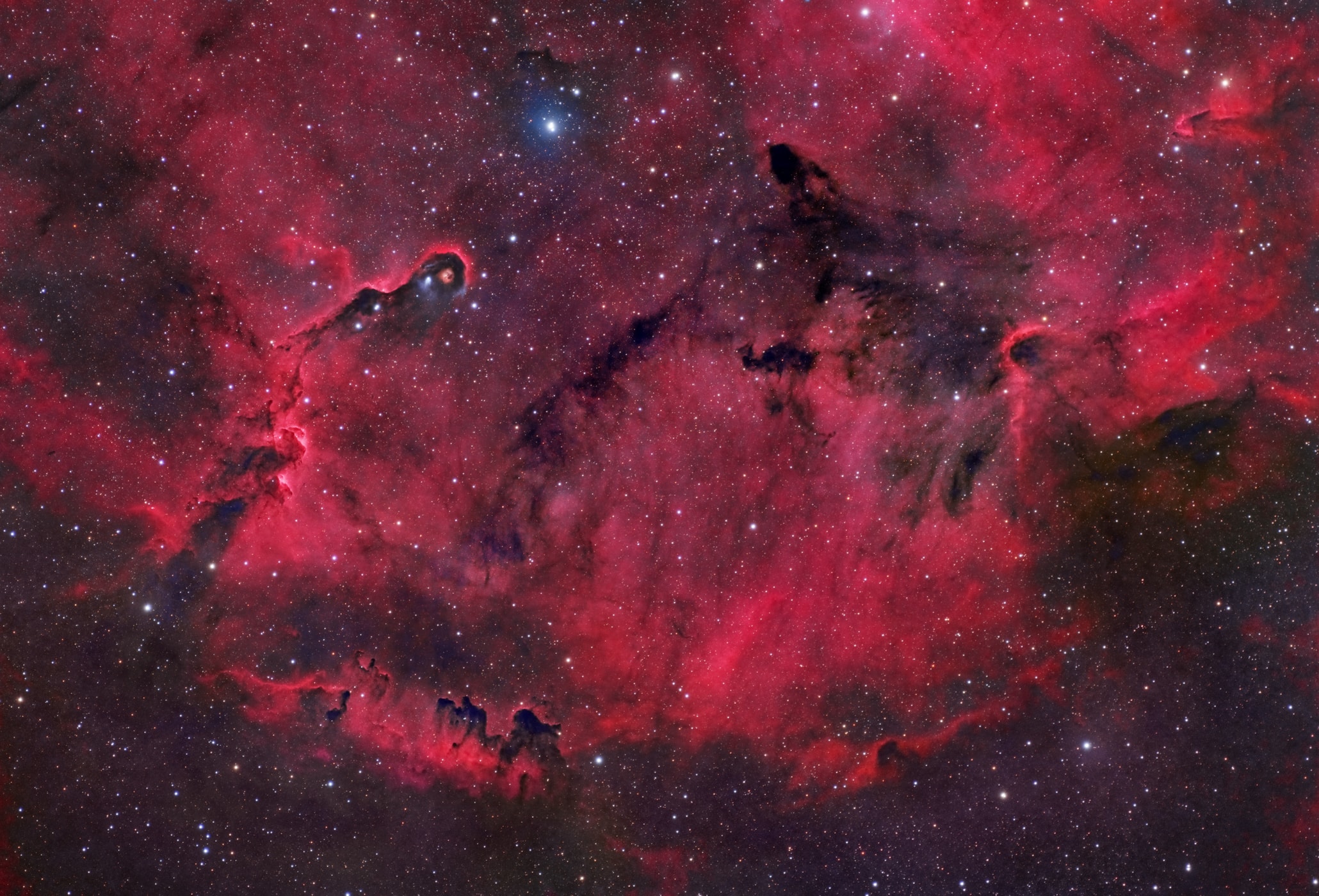 Like an illustration in a galactic Just So Story, the Elephant's Trunk Nebula winds through the emission region and young star cluster complex IC 1396, in the high and far off constellation of Cepheus. Seen on the left the cosmic elephant's trunk, also known as vdB 142, is over 20 light-years long. This detailed telescopic view features the bright swept-back ridges and pockets of cool interstellar dust and gas that abound in the region. But the dark, tendril-shaped clouds contain the raw material for star formation and hide protostars within. Nearly 3,000 light-years distant, the relatively faint IC 1396 complex covers a large region on the sky, spanning over 5 degrees. This rendition spans a 1 degree wide field of view though, about the angular size of 2 full moons. Of course the dark shapes below and to the right of the outstretched Elephant's Trunk, are known to some as The Caravan.