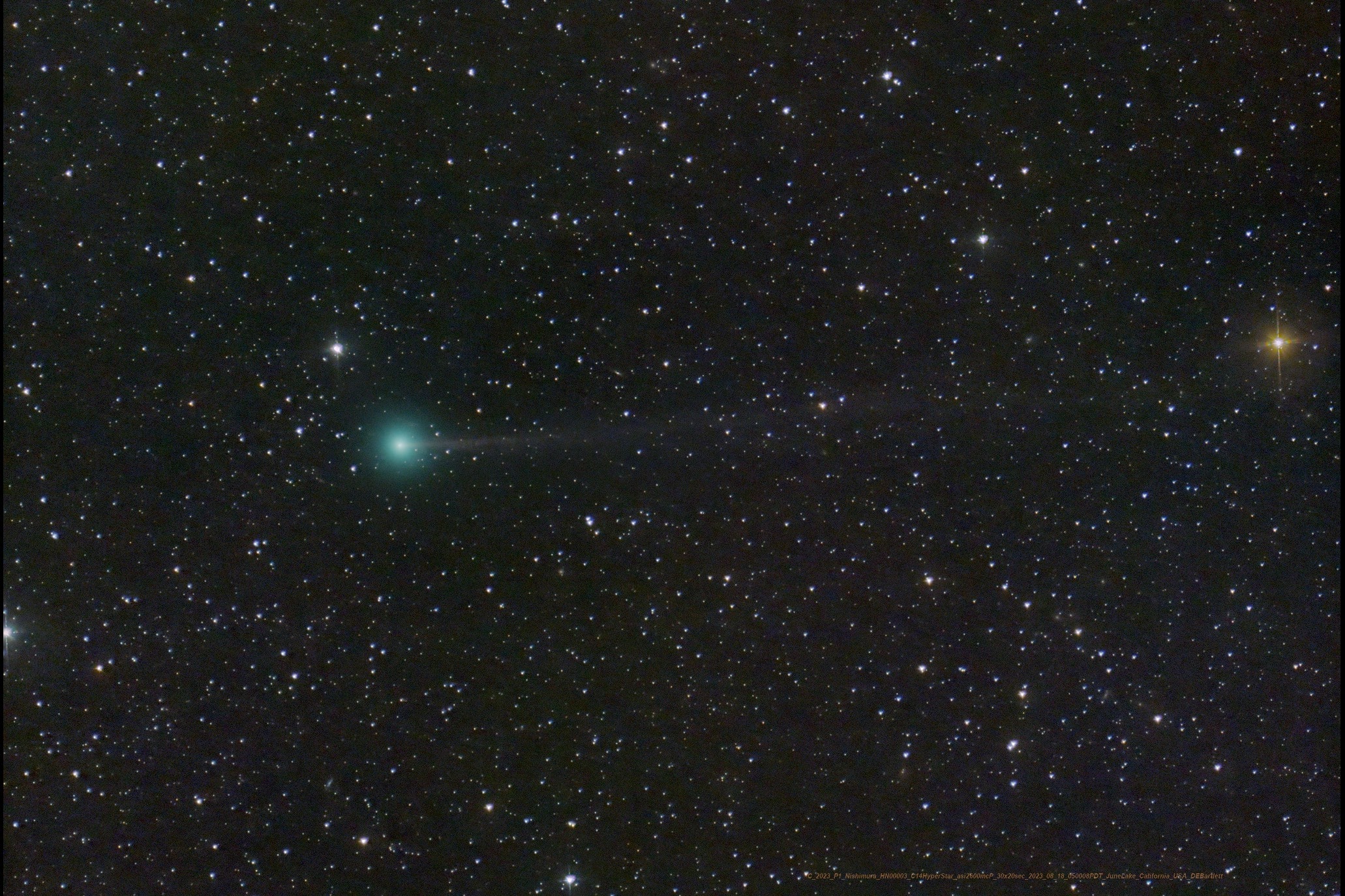 Will Comet Nishimura become visible to the unaided eye? Given the unpredictability of comets, no one can say for sure, but it currently seems like a good bet.  The comet was discovered only ten days ago by Hideo Nishimura during 30-second exposures with a standard digital camera.  Since then, C/2023 P1 Nishimura has increased in brightness and its path across the inner Solar System determined.  As the comet dives toward the Sun, it will surely continue to intensify and possibly become a naked-eye object in early September.  A problem is that the comet will also be angularly near the Sun, so it will only be possible to see it near sunset or sunrise.  The comet will get so close to the Sun -- inside the orbit of planet Mercury -- that its nucleus may break up. Pictured, Comet Nishimura was imaged three days ago from June Lake, California, USA while sporting a green coma and a thin tail.