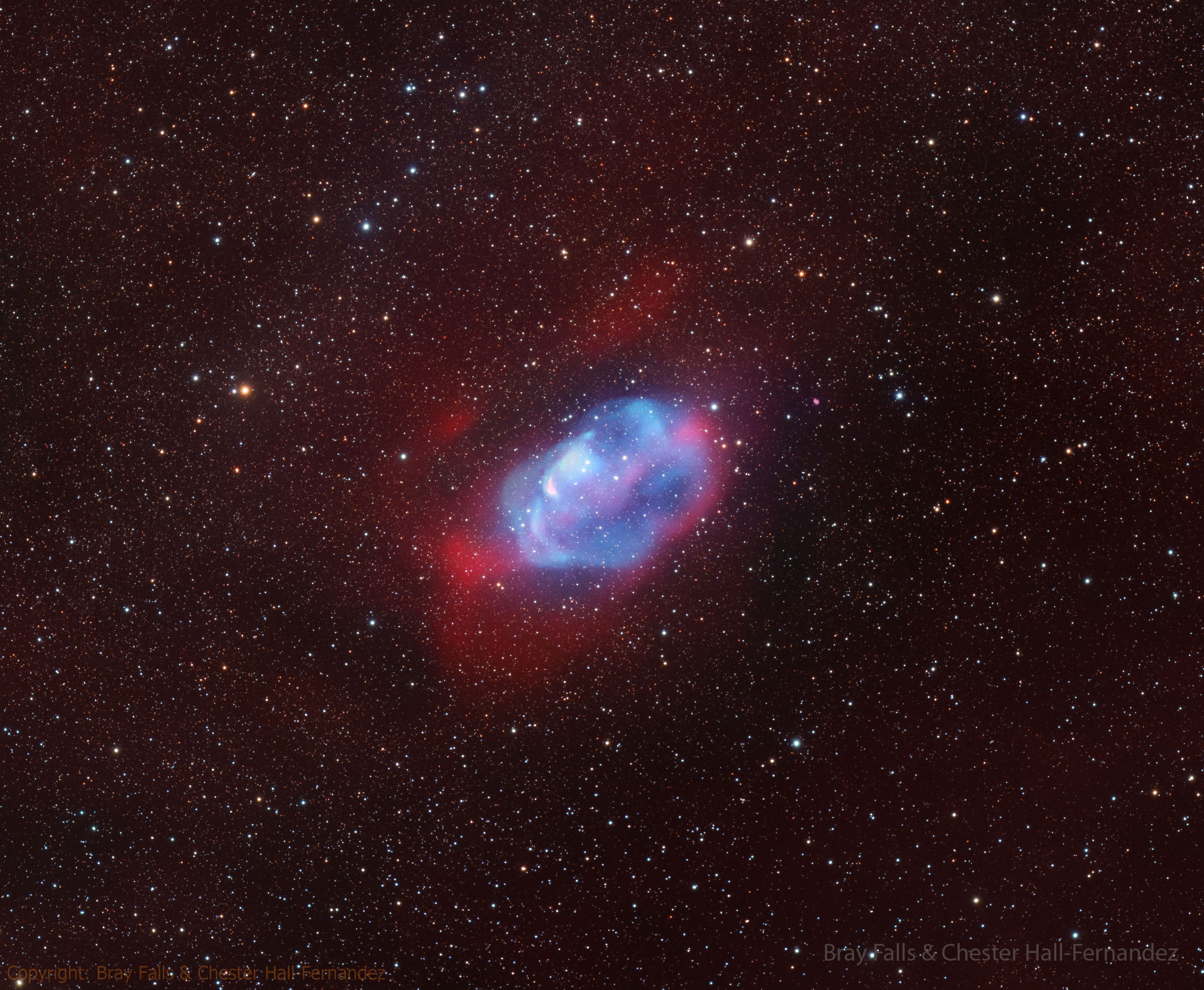 This nebula had never been noted before. Newly discovered nebulas are usually angularly small and found by professionals using large telescopes. In contrast, the Pistachio Nebula was discovered by dedicated amateurs and, although faint, is nearly the size of the full Moon.  In modern times, amateurs with even small telescopes can create long exposures over sky areas much larger than most professional telescopes can see.  They can therefore discover both previously unknown areas of extended emission around known objects, as well as entirely unknown objects, like nebulas.  The pictured Pistachio Nebula is shown in oxygen emission (blue) and hydrogen emission (red).  The nature of the hot central star is currently unknown, and the nebula might be labeled a planetary nebula if it turns out to be a white dwarf star.  The featured image is a composite of over 70 hours of exposure taken in early June under the dark skies of Namibia.