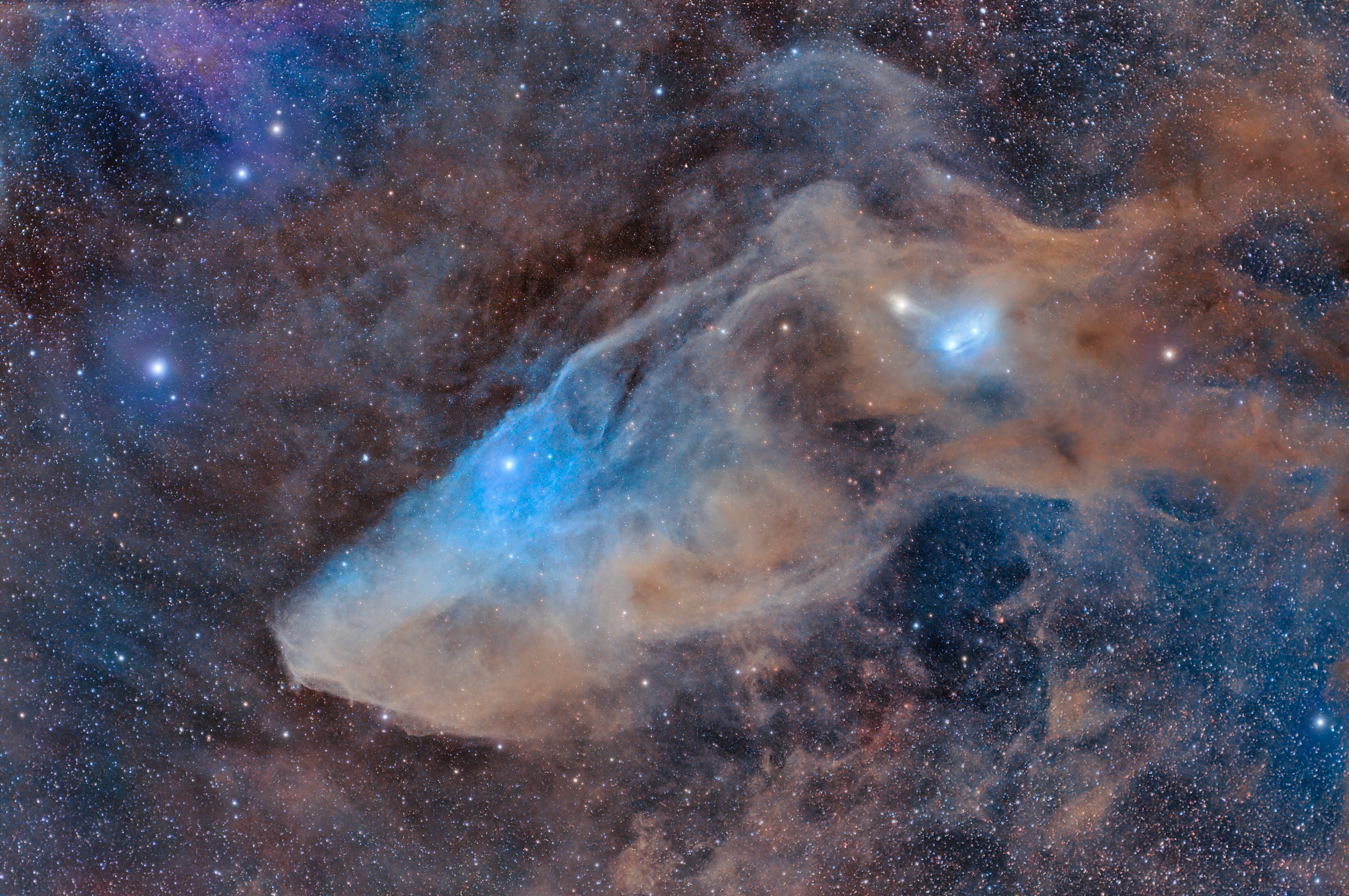 Do you see the horse's head?   What you are seeing is not the famous Horsehead nebula toward Orion, but rather a fainter nebula that only takes on a familiar form with deeper imaging.  The main part of the here-imaged molecular cloud complex is  reflection nebula IC 4592.  Reflection nebulas are made up of very fine dust that normally appears dark but can look quite blue when reflecting the visible light of energetic nearby stars.  In this case, the source of much of the reflected light is a star at the eye of the horse.  That star is part of Nu Scorpii, one of the brighter star systems toward the constellation of the Scorpion (Scorpius).   A second reflection nebula dubbed IC 4601 is visible surrounding two stars above and to the right of the image center.