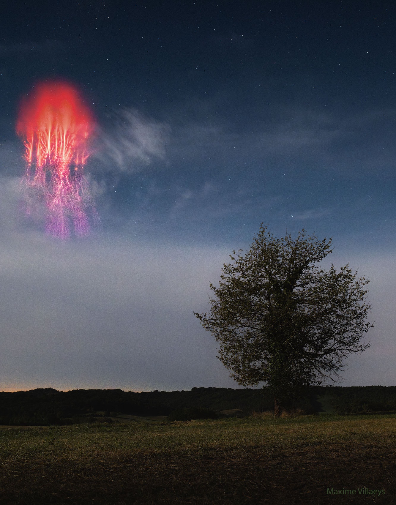 The sprite and tree could hardly be more different. To start, the red sprite is an unusual form of lightning, while the tree is a common plant. The sprite is far away -- high in Earth's atmosphere, while the tree is nearby -- only about a football field away.  The sprite is fast -- electrons streaming up and down at near light's speed, while the tree is slow -- wood anchored to the ground. The sprite is bright -- lighting up the sky, while the tree is dim -- shining mostly by reflected light. The sprite was fleeting -- lasting only a small fraction of a second, while the tree is durable -- living now for many years.  Both however, when captured together, appear oddly similar in this featured composite image captured early this month in France as a thunderstorm passed over mountains of the Atlantic Pyrenees.    Your Sky Surprise: What picture did APOD feature on your birthday? (post 1995)