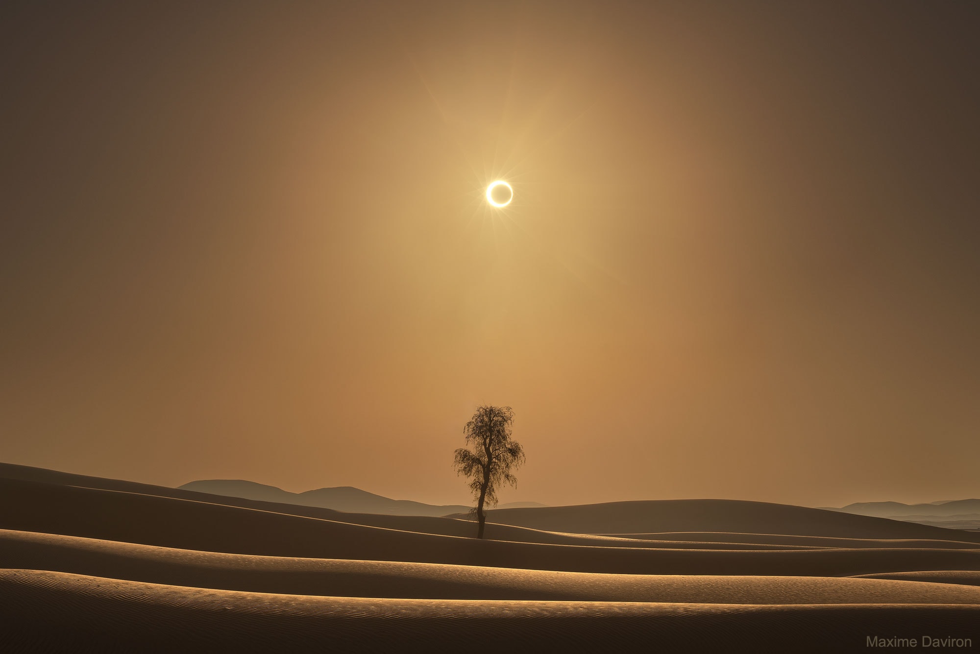 A good place to see a ring-of-fire eclipse, it seemed, would be from a desert. In a desert, there should be relatively few obscuring clouds and trees.  Therefore late December of 2019, a group of photographers traveled to the United Arab Emirates and Rub al-Khali, the largest continuous sand desert in world, to capture clear images of an unusual eclipse that would be passing over.  A ring-of-fire eclipse is an annular eclipse that occurs when the Moon is far enough away on its elliptical orbit around the Earth so that it appears too small, angularly, to cover the entire Sun. At the maximum of an annular eclipse, the edges of the Sun can be seen all around the edges of the Moon, so that the Moon appears to be a dark spot that covers most -- but not all -- of the Sun. This particular eclipse, they knew, would peak soon after sunrise.  After seeking out such a dry and barren place, it turned out that some of the most interesting eclipse images actually included a tree in the foreground, because, in addition to the sand dunes, the tree gave the surreal background a contrasting sense of normalcy, scale, and texture.  On Saturday, October 14, a new ring of fire will be visible through clear skies from a thin swath crossing both North and South America.