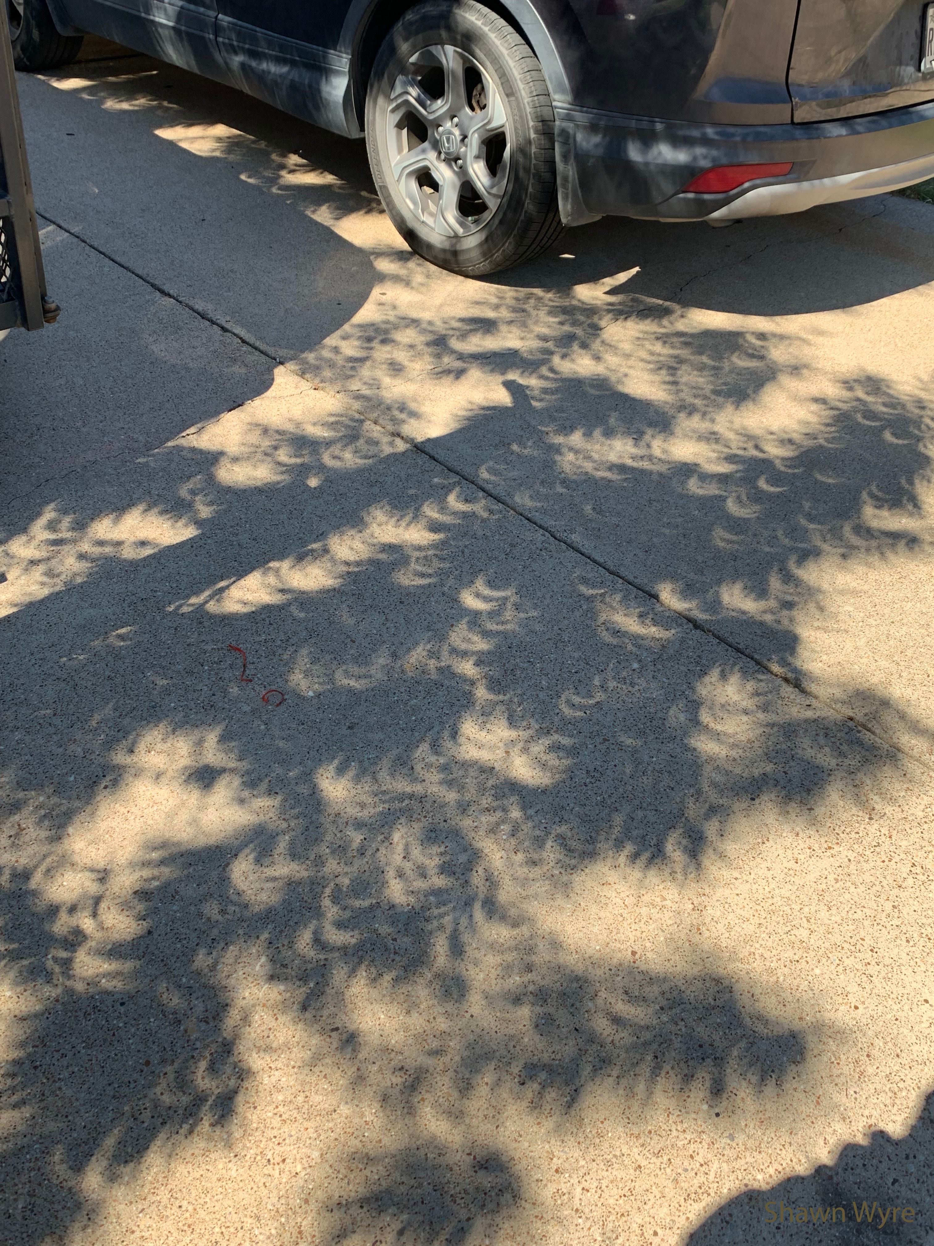 Yes, but can your tree do this?  If you look closely at the ground in the featured image, you will see many images of yesterday's solar eclipse -- created by a tree. Gaps between tree leaves act like pinhole lenses and each create a small image of the partially eclipsed Sun visible in the other direction.  The image was taken in Burleson, Texas, USA. Yesterday, people across the Americas were treated to a partial eclipse of the Sun, when the Moon moves in front of part of the Sun. People in a narrow band of Earth were treated to an annular eclipse, also called a ring-of-fire eclipse, when the Moon becomes completely engulfed by the Sun and sunlight streams around all of the Moon's edges. In answer to the lede question, your tree not only can do this, but will do it every time that a visible solar eclipse passes overhead.  Next April 8, a deeper, total solar eclipse will move across North America.   Album: Selected eclipse images sent in to APOD