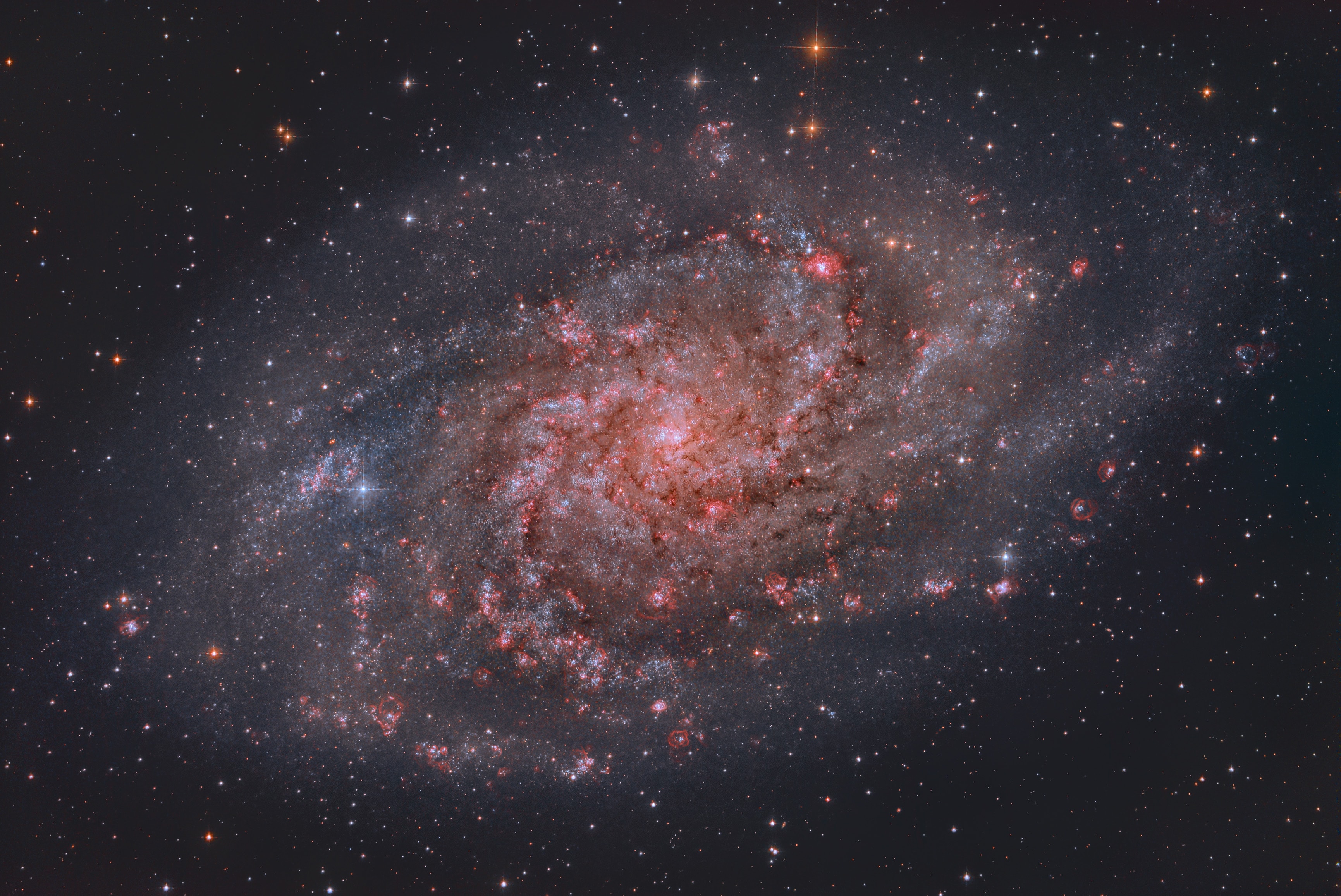 Gorgeous spiral galaxy Messier 33 seems to have more than its fair share of glowing hydrogen gas. A prominent member of the local group of galaxies, M33 is also known as the Triangulum Galaxy and lies a mere 3 million light-years away.  The galaxy's central 30,000 light-years or so are shown in this sharp galaxy portrait. The portrait features M33's reddish ionized hydrogen clouds or HII regions. Sprawling along loose spiral arms that wind toward the core, M33's giant HII regions are some of the largest known stellar nurseries, sites of the formation of short-lived but very massive stars. Intense ultraviolet radiation from the luminous, massive stars ionizes the surrounding hydrogen gas and ultimately produces the characteristic red glow. In this image, broadband data were combined with narrowband data recorded through a hydrogen-alpha filter. That filter transmits the light of the strongest visible hydrogen emission line.