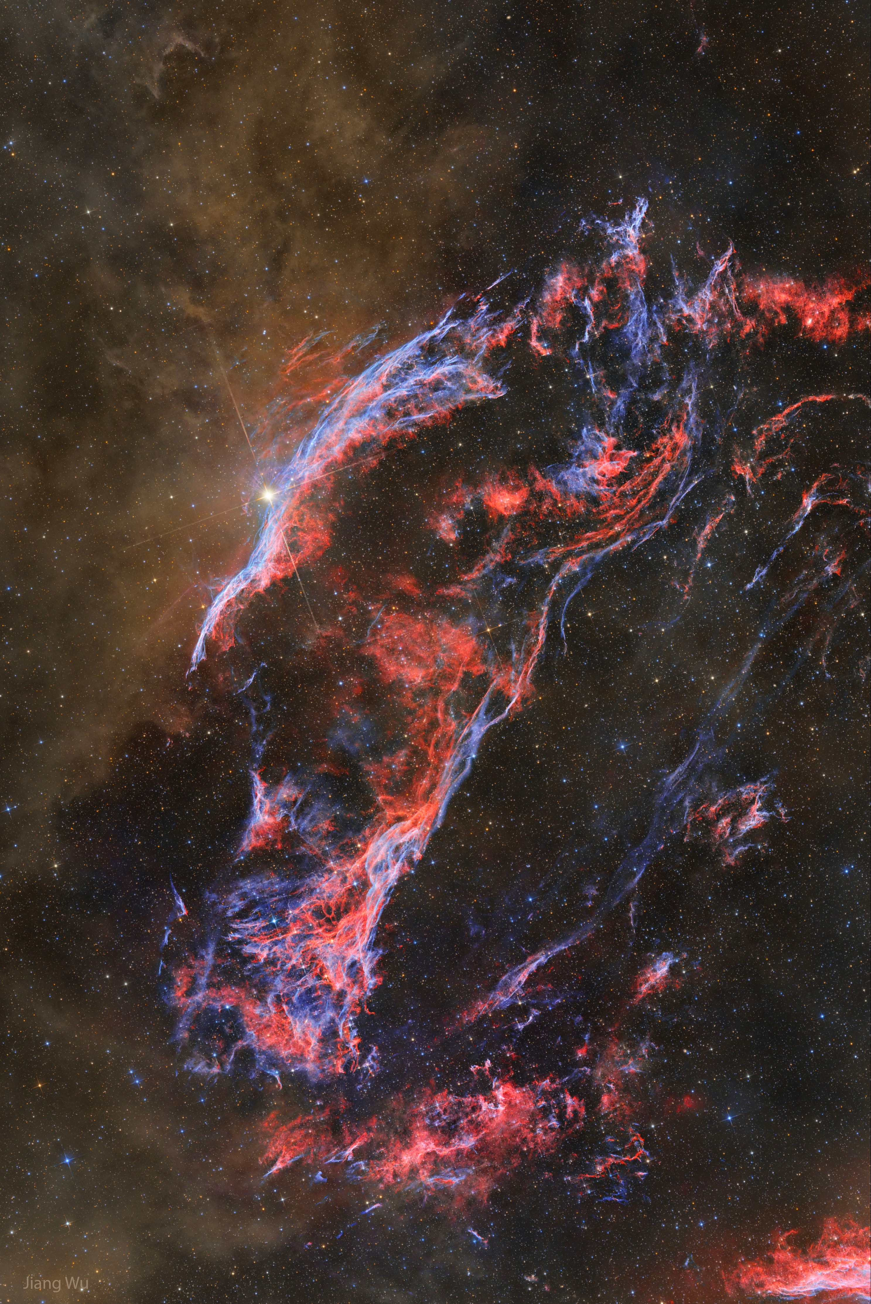 It's so big it is easy to miss. The entire Veil Nebula spans six times the diameter of the full moon, but is so dim you need binoculars to see it. The nebula was created about 15,000 years ago when a star in the constellation of the Swan (Cygnus) exploded. The spectacular explosion would have appeared brighter than even Venus for a week - but there is no known record of it.  Pictured is the western edge of the still-expanding gas cloud. Notable gas filaments include the Witch's Broom Nebula on the upper left near the bright foreground star 52 Cygni, and Fleming's Triangular Wisp (formerly known as Pickering's Triangle) running diagonally up the image middle.  What is rarely imaged -- but seen in the featured long exposure across many color bands -- is the reflecting brown dust that runs vertically up the image left, dust likely created in the cool atmospheres of massive stars.