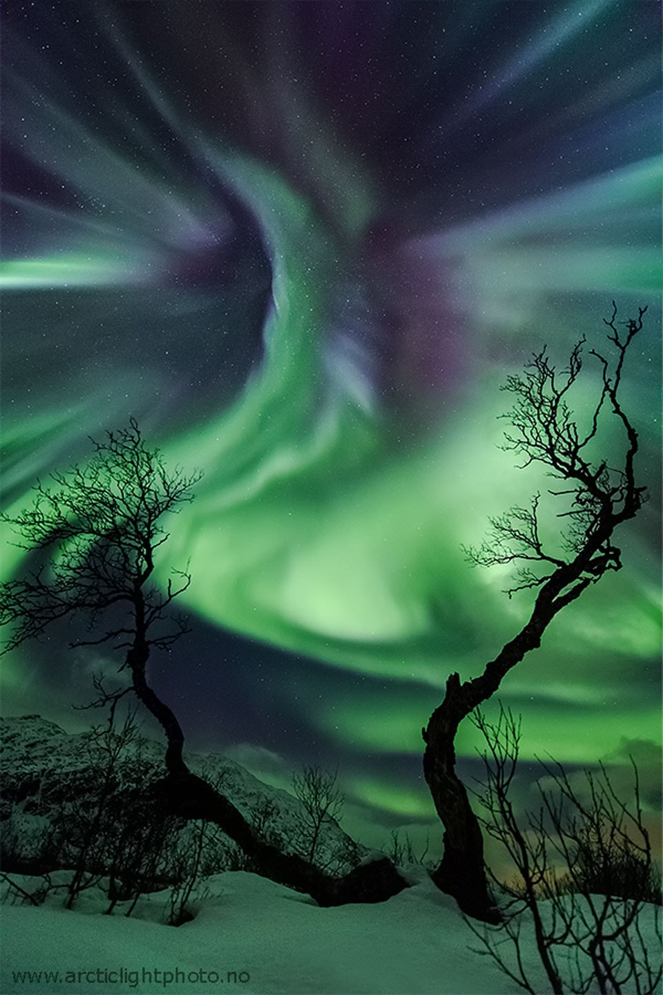 It was Halloween and the sky looked like a creature. Exactly which creature, the astrophotographer was unsure (but possibly you can suggest one). Exactly what caused this  eerie apparition in 2013 was sure: one of the best auroral displays that year. This spectacular aurora had an unusually high degree of detail. Pictured here, the vivid green and purple  auroral colors are caused by high atmospheric oxygen and nitrogen reacting to a burst of incoming electrons.  Birch trees in Tromsø, Norway formed an also eerie foreground. Frequently, new photogenic auroras accompany new geomagnetic storms.   Almost Hyperspace: Random APOD Generator