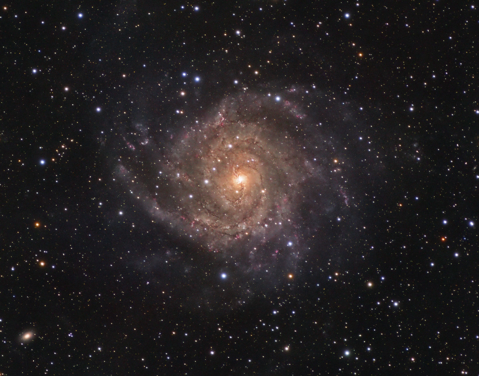 Similar in size to large, bright spiral galaxies in our neighborhood, IC 342 is a mere 10 million light-years distant in the long-necked, northern constellation Camelopardalis. A sprawling island universe, IC 342 would otherwise be a prominent galaxy in our night sky, but it is hidden from clear view and only glimpsed through the veil of stars, gas and dust clouds along the plane of our own Milky Way galaxy. Even though IC 342's light is dimmed and reddened by intervening cosmic clouds, this sharp telescopic image traces the galaxy's own obscuring dust, young star clusters, and glowing star forming regions along spiral arms that wind far from the galaxy's core. IC 342 has undergone a recent burst of star formation activity and is close enough to have gravitationally influenced the evolution of the local group of galaxies and the Milky Way.