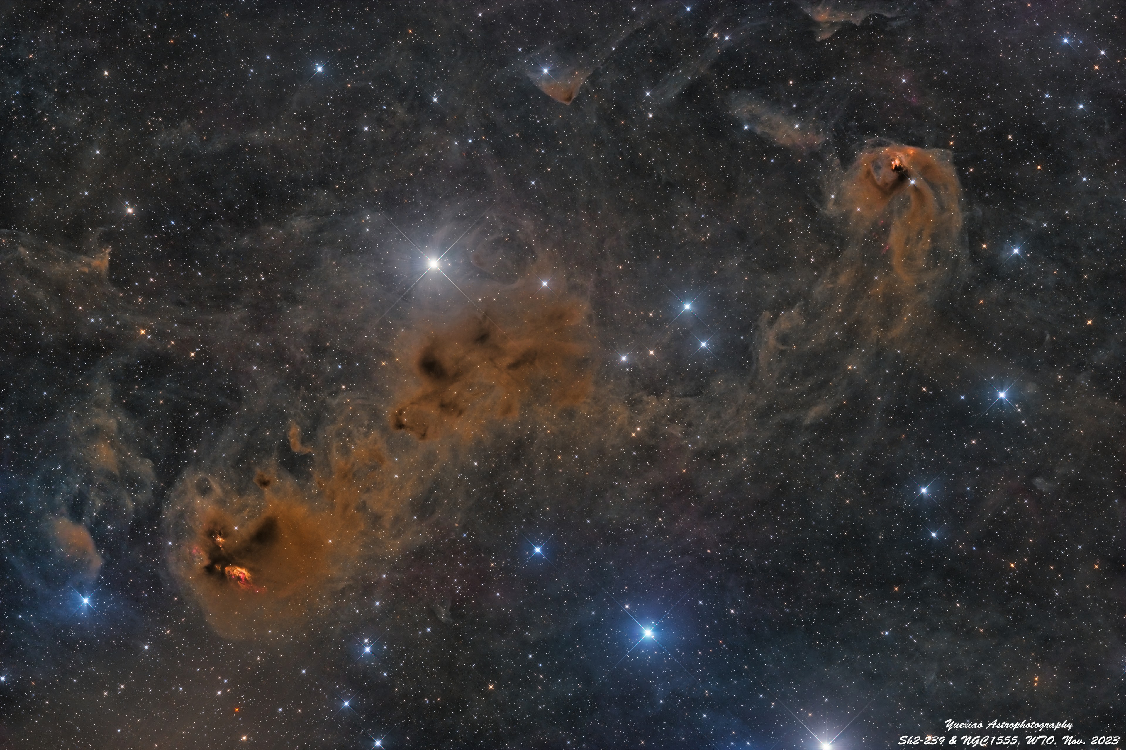 The cosmic brush of star formation composed this interstellar canvas of emission, dust, and dark nebulae. A 5 degree wide telescopic mosaic, it frames a region found north of bright star Aldebaran on the sky, at an inner wall of the local bubble along the Taurus molecular cloud. At lower left, emission cataloged as Sh2-239 shows signs of embedded young stellar objects. The region's Herbig-Haro objects, nebulosities associated with newly born stars, are marked by tell-tale reddish jets of shocked hydrogen gas. Above and right T Tauri, the prototype of the class of T Tauri variable stars, is next to a yellowish nebula historically known as Hind's Variable Nebula (NGC 1555). T Tauri stars are now generally recognized as young, less than a few million years old, sun-like stars still in the early stages of formation.