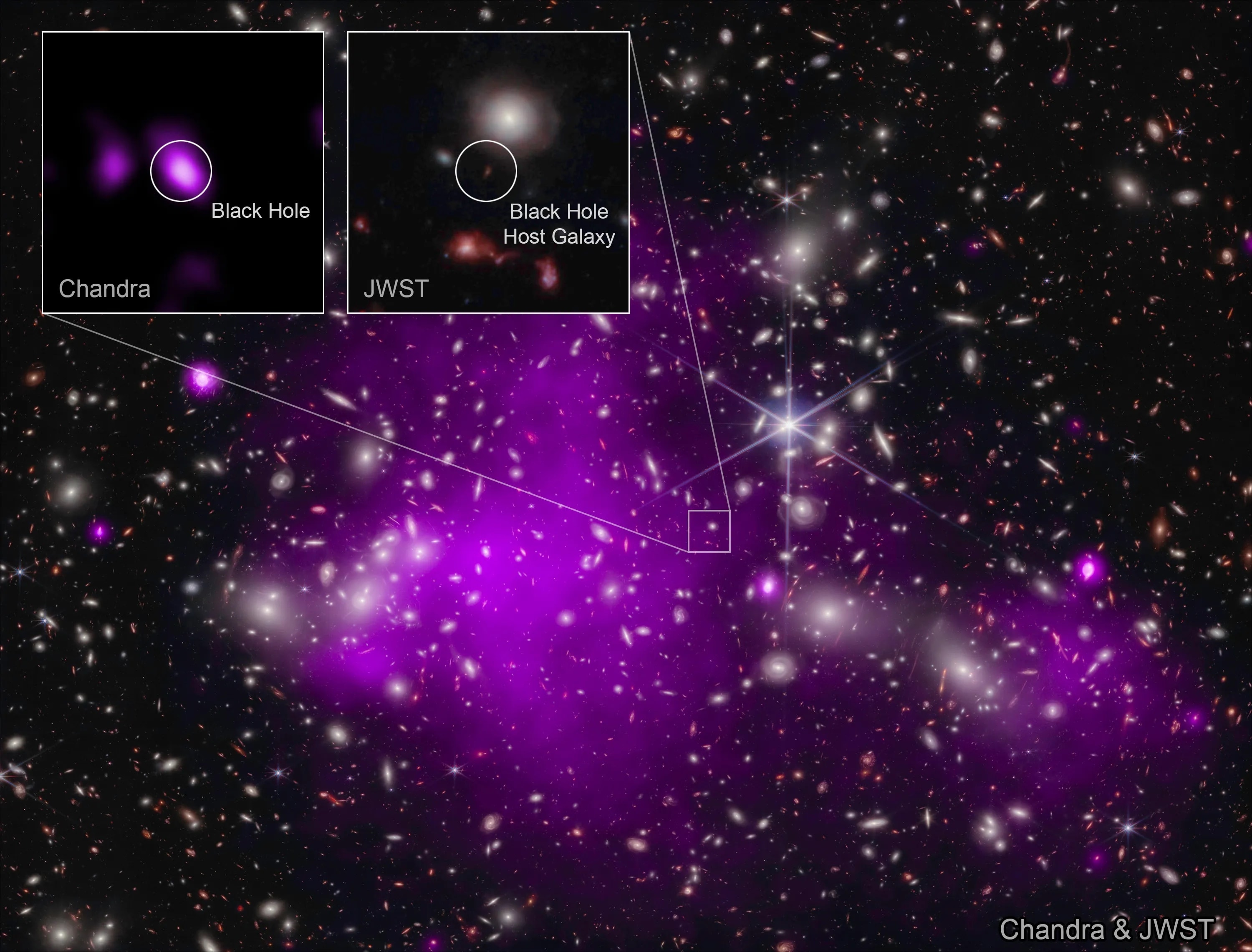 Dominated by dark matter, massive cluster of galaxies Abell 2744 is known to some as Pandora's Cluster. It lies 3.5 billion light-years away toward the constellation Sculptor. Using the galaxy cluster's enormous mass as a gravitational lens to warp spacetime and magnify even more distant objects directly behind it, astronomers have found a background galaxy, UHZ1, at a remarkable redshift of Z=10.1. That puts UHZ1 far beyond Abell 2744, at a distance of 13.2 billion light-years, seen when our universe was about 3 percent of its current age. UHZ1 is identified in the insets of this composited image combining X-rays (purple hues) from the spacebased Chandra X-ray Observatory and infrared light from the James Webb Space Telescope. The X-ray emission from UHZ1 detected in the Chandra data is the telltale signature of a growing supermassive black hole at the center of the ultra high redshift galaxy.  That makes UHZ1's growing black hole the most distant black hole ever detected in X-rays, a result that now hints at how and when the first supermassive black holes in the universe formed.