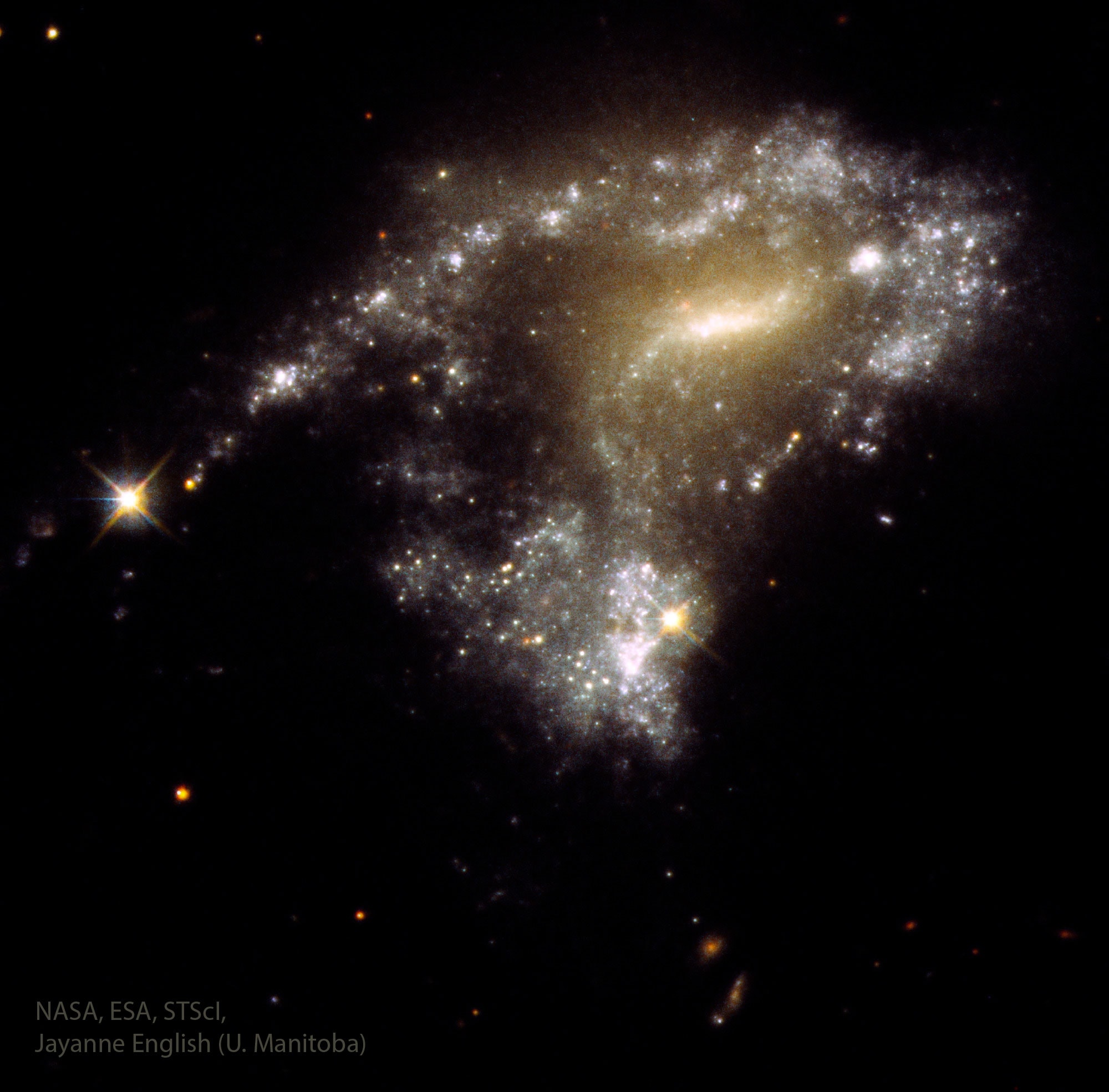 When galaxies collide, how many stars are born?  For AM1054-325, featured here in a recently released image by the Hubble Space Telescope, the answer is millions. Instead of stars being destroyed as galaxy AM1054-325 and a nearby galaxy circle each other, their gravity and motion has ignited stellar creation.  Star formation occurs rapidly in the gaseous debris stretching from AM1054-325’s yellowish body due to the other galaxy’s gravitational pull.  Hydrogen gas surrounding newborn stars glows pink.  Bright infant stars shine blue and cluster together in compact nurseries of thousands to millions of stars. AM1054-325 possesses over 100 of these intense-blue, dot-like star clusters, some appearing like a string of pearls.  Analyzing ultraviolet light helped determine that most of these stars are less than 10 million years old: stellar babies.  Many of these nurseries may grow up to be globular star clusters, while the bundle of young stars at the bottom tip may even detach and form a small galaxy.