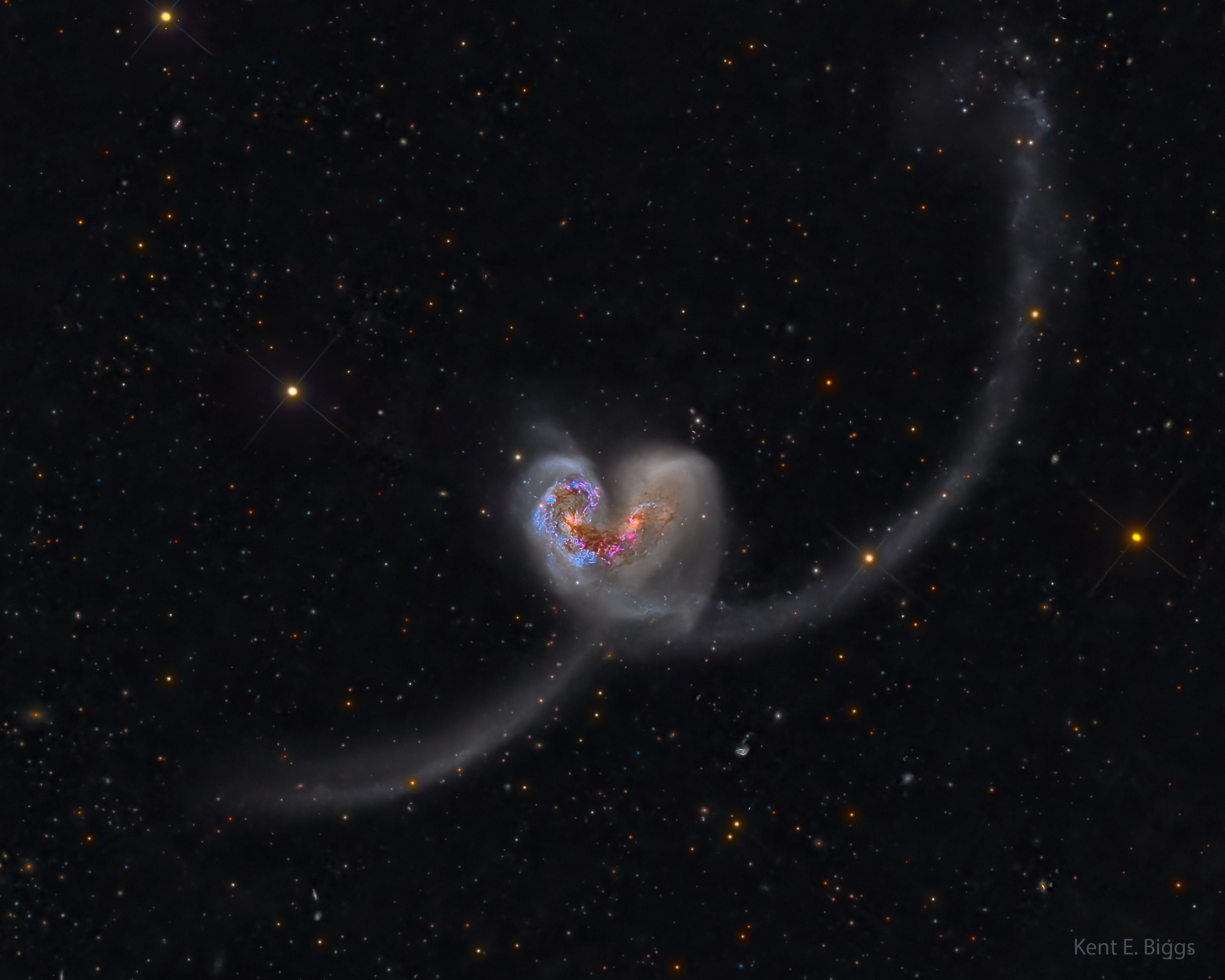 Are these two galaxies really attracted to each other? Yes, gravitationally, and the result appears as an enormous iconic heart -- at least for now. Pictured is the pair of galaxies cataloged as NGC 4038 and NGC 4039,known as the Antennae Galaxies.  Because they are only 60 million light years away, close by intergalactic standards, the pair is one of the best studied interacting galaxies on the night sky. Their strong attraction began about a billion years ago when they passed unusually close to each other.  As the two galaxies interact, their stars rarely collide, but new stars are formed when their interstellar gases crash together.  Some new stars have already formed, for example, in the long antennae seen extending out from the sides of the dancing duo. By the time the galaxy merger is complete, likely over a billion years from now, billions of new stars may have formed.   Open Science: Browse 3,300+ codes in the Astrophysics Source Code Library