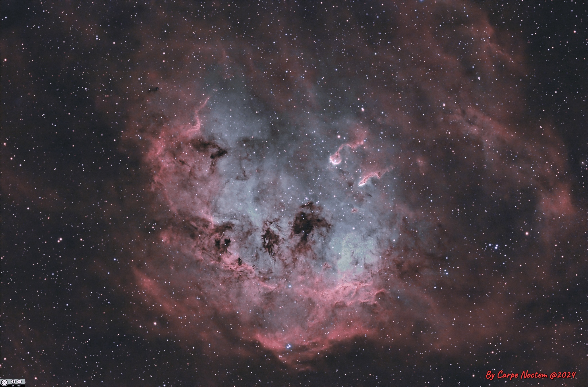 This cosmic view shows off an otherwise faint emission nebula IC 410, captured under clear Netherlands skies with telescope and narrowband filters. Above and right of center you can spot two remarkable inhabitants of the interstellar pond of gas and dust, known as the tadpoles of IC 410. Partly obscured by foreground dust, the nebula itself surrounds NGC 1893, a young galactic cluster of stars. Formed in the interstellar cloud a mere 4 million years ago, the intensely hot, bright cluster stars energize the glowing gas. Globules composed of denser cooler gas and dust, the tadpoles are around 10 light-years long and are likely sites of ongoing star formation. Sculpted by stellar winds and radiation their heads are outlined by bright ridges of ionized gas while their tails trail away from the cluster's central young stars. IC 410 and embedded NGC 1893 lie some 10,000 light-years away, toward the nebula-rich constellation Auriga.