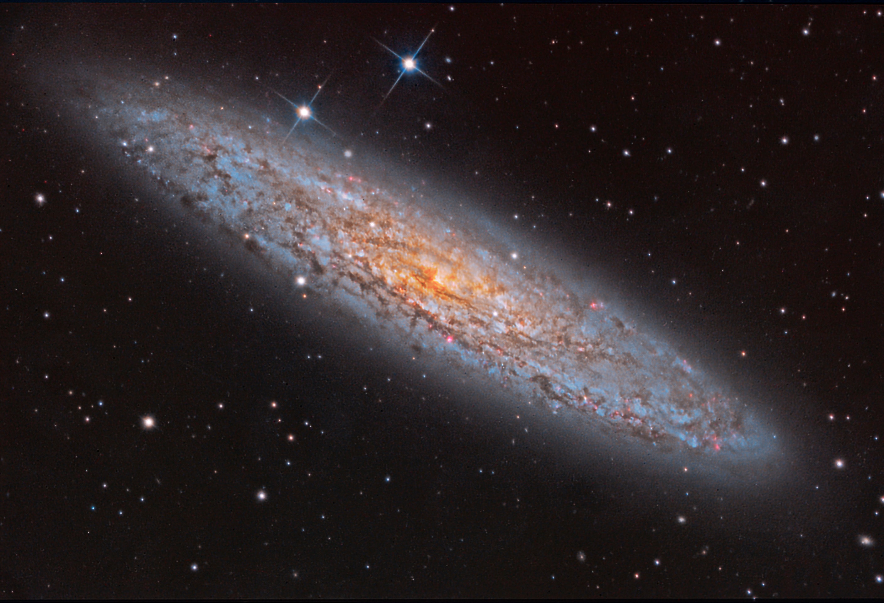 Shiny NGC 253 is one of the brightest spiral galaxies visible, and also one of the dustiest.  Some call it the Silver Coin Galaxy for its appearance in small telescopes, or just the Sculptor Galaxy for its location within the boundaries of the southern constellation Sculptor.  Discovered in 1783 by mathematician and astronomer Caroline Herschel, the dusty island universe lies a mere 10 million light-years away. About 70 thousand light-years across, NGC 253 is the largest member of the Sculptor Group of Galaxies, the nearest to our own Local Group of Galaxies.  In addition to its spiral dust lanes, tendrils of dust seem to be rising from its galactic disk laced with young star clusters and star forming regions in this colorful galaxy portrait. The high dust content accompanies frantic star formation, earning NGC 253 the designation of a starburst galaxy. NGC 253 is also known to be a strong source of high-energy x-rays and gamma rays, likely due to massive black holes near the galaxy's center.