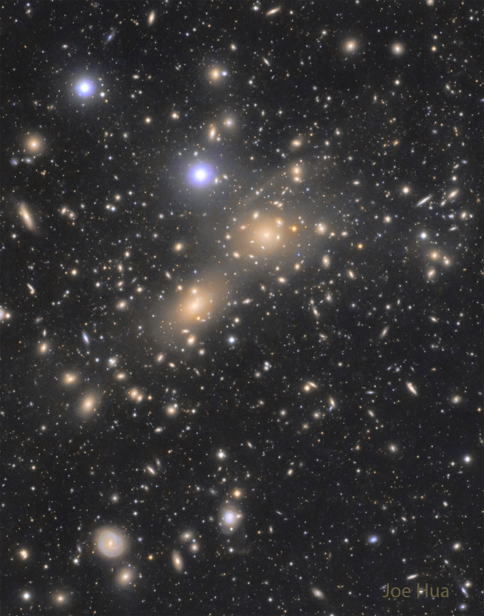 Almost every object in the featured photograph is a galaxy.  The Coma Cluster of Galaxies pictured here is one of the densest clusters known - it contains thousands of galaxies.  Each of these galaxies houses billions of stars - just as our own Milky Way Galaxy does.  Although nearby when compared to most other clusters, light from the Coma Cluster still takes hundreds of millions of years to reach us.  In fact, the Coma Cluster is so big it takes light millions of years just to go from one side to the other.  Most galaxies in Coma and other clusters are ellipticals, while most galaxies outside of clusters are spirals.  The nature of Coma's X-ray emission is still being investigated.