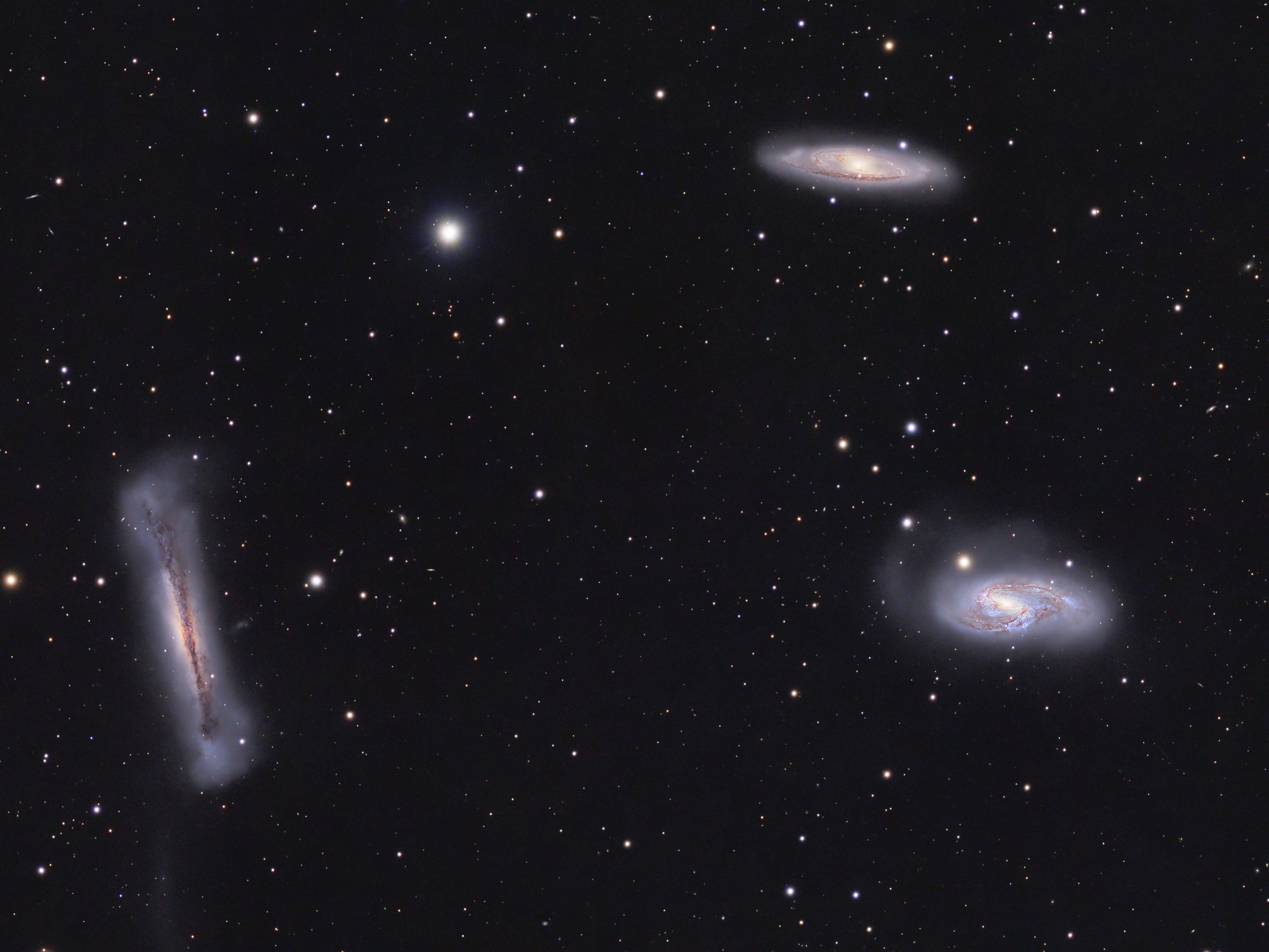 This popular group leaps into the early evening sky around the March equinox and the northern hemisphere spring.  Famous as the Leo Triplet, the three magnificent galaxies found in the prominent constellation Leo gather here in one astronomical field of view. Crowd pleasers when imaged with even modest telescopes, they can be introduced individually as NGC 3628 (left), M66 (bottom right), and M65 (top). All three are large spiral galaxies but tend to look dissimilar, because their galactic disks are tilted at different angles to our line of sight. NGC 3628, also known as the Hamburger Galaxy, is temptingly seen edge-on, with obscuring dust lanes cutting across its puffy galactic plane. The disks of M66 and M65 are both inclined enough to show off their spiral structure.  Gravitational interactions between galaxies in the group have left telltale signs, including the tidal tails and warped, inflated disk of NGC 3628 and the drawn out spiral arms of M66. This gorgeous view of the region spans over 1 degree (two full moons) on the sky in a frame that covers over half a million light-years at the trio's estimated distance of 30 million light-years.