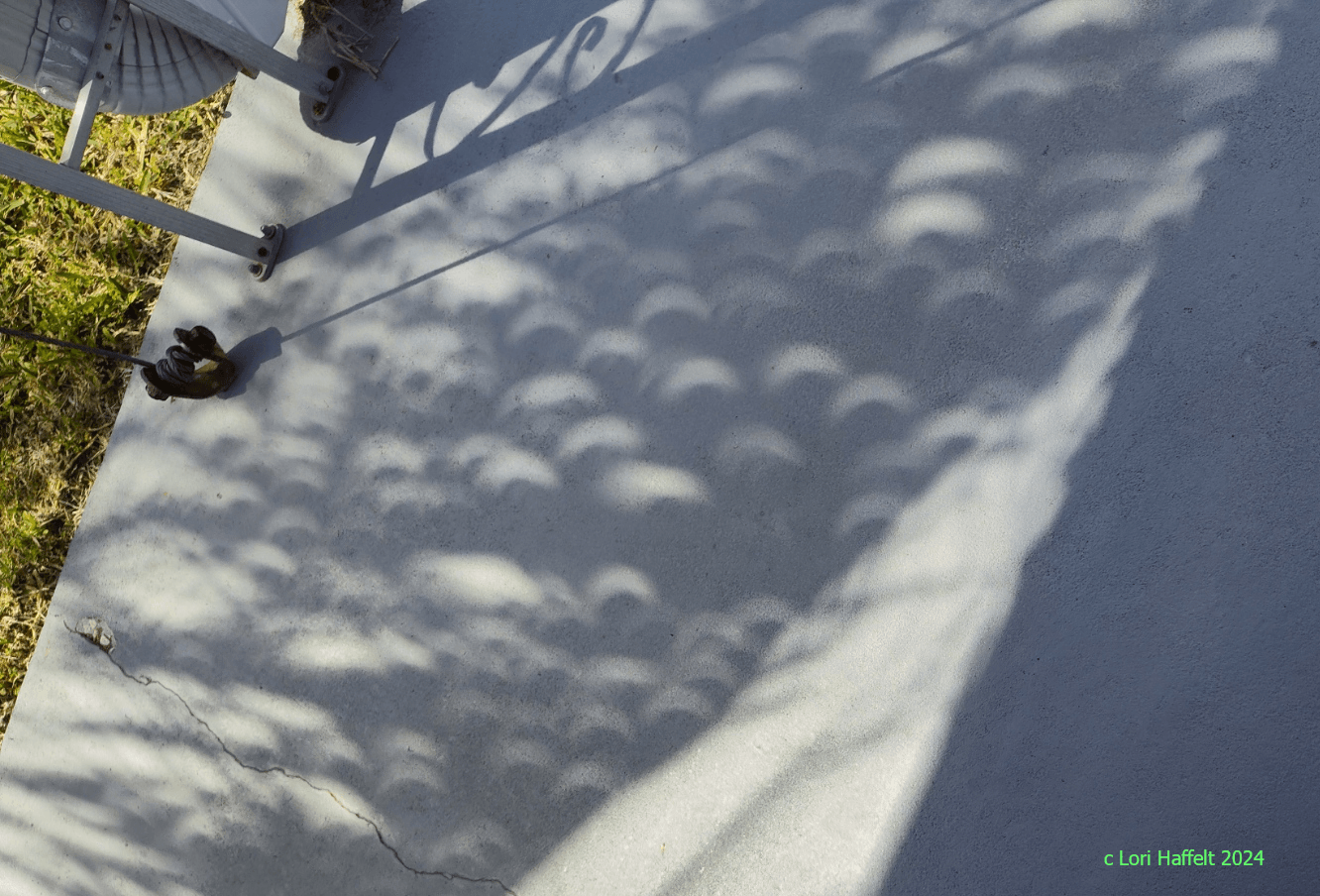 Only those along the narrow track of the Moon's shadow on April 8 saw a total solar eclipse. But most of North America still saw a partial eclipse of the Sun. From Clearwater, Florida, USA this single snapshot captured multiple images of that more widely viewed celestial event without observing the Sun directly. In the shade of a palm tree, criss-crossing fronds are projecting recognizable eclipse images on the ground, pinhole camera style.  In Clearwater the maximum eclipse phase was about 53 percent.   Solar Eclipse Imagery: Notable Submissions to APOD