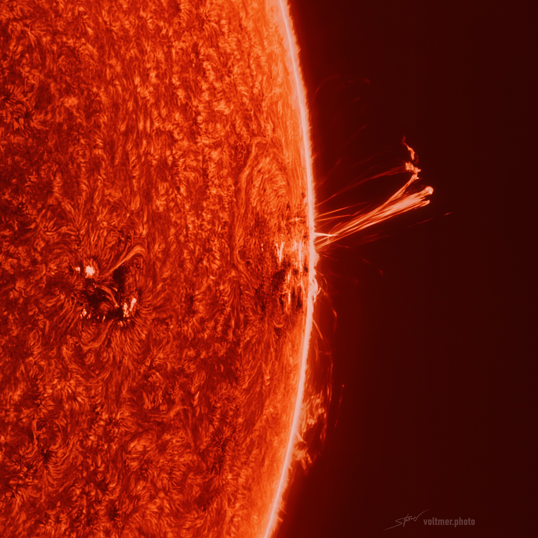 What did the monster active region that created the recent auroras look like when at the Sun's edge? There, AR 3664 better showed its 3D structure. Pictured, a large multi-pronged solar prominence was captured extending from chaotic sunspot region AR 3664 out into space, just one example of the particle clouds ejected from this violent solar region. The Earth could easily fit under this long-extended prominence.  The featured image was captured two days ago from this constantly changing region. Yesterday, the strongest solar flare in years was expelled (not shown), a blast classified in the upper X-class. Ultraviolet light from that flare quickly hit the Earth's atmosphere and caused shortwave radio blackouts across both North and South America. Although now rotated to be facing slightly away from the Earth, particles from AR 3664 and subsequent coronal mass ejections (CMEs) might still follow curved magnetic field lines across the inner Solar System and create more Earthly auroras.    Gallery: Earth Aurora from Solar Active Region 3664