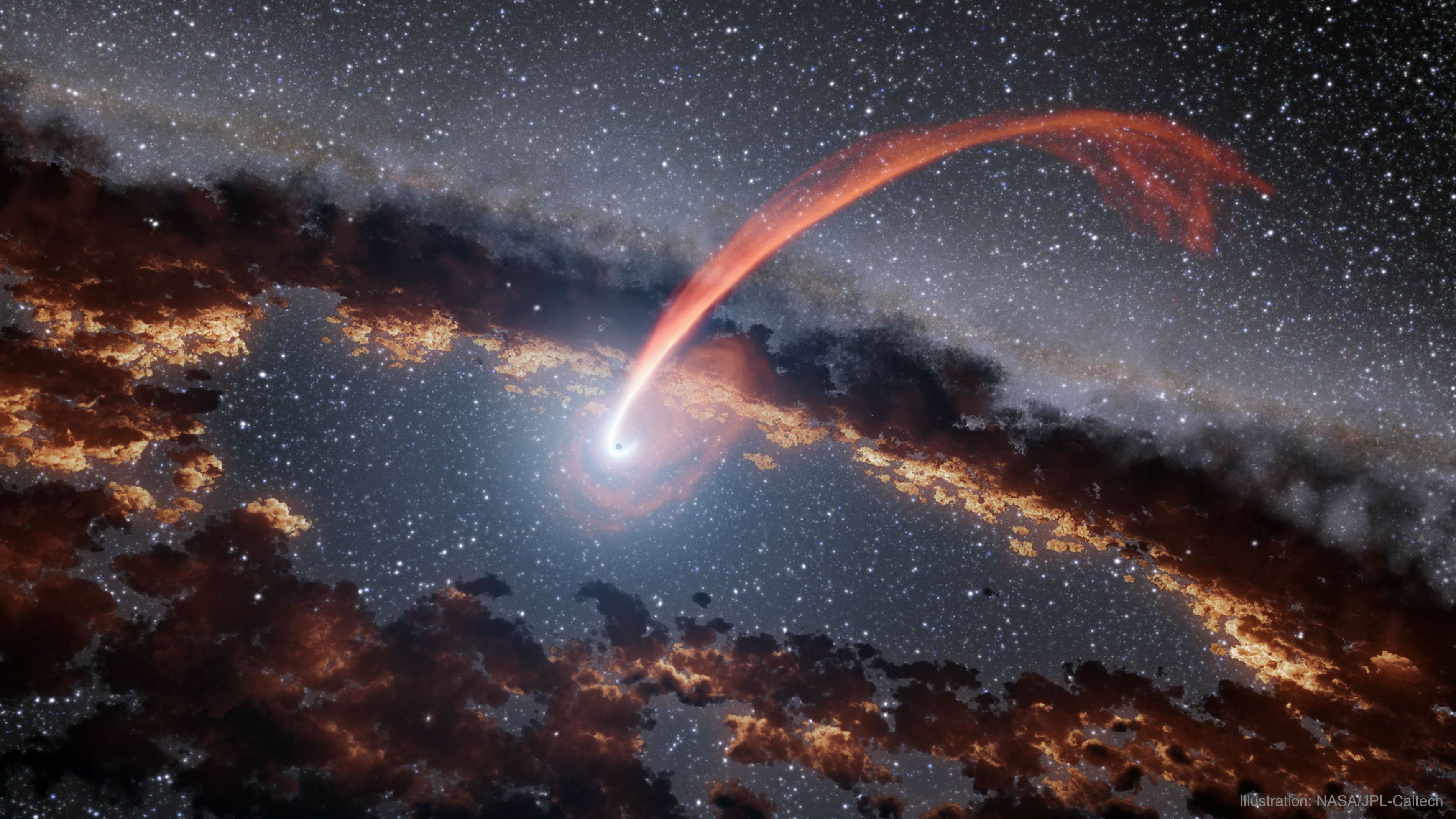 What happens to a star that goes near a black hole? If the star directly impacts a massive black hole, then the star falls in completely -- and everything vanishes. More likely, though, the star goes close enough to have the black hole's gravity pull away its outer layers, or disrupt, the star. Then, most of the star's gas does not fall into the black hole.  These stellar tidal disruption events can be as bright as a supernova, and an increasing amount of them are being discovered by automated sky surveys. In the featured artist's illustration, a star has just passed a massive black hole and sheds gas that continues to orbit.  The inner edge of a disk of gas and dust surrounding the black hole is heated by the disruption event and may glow long after the star  is gone.    Hole New Worlds: It's Black Hole Week at NASA!