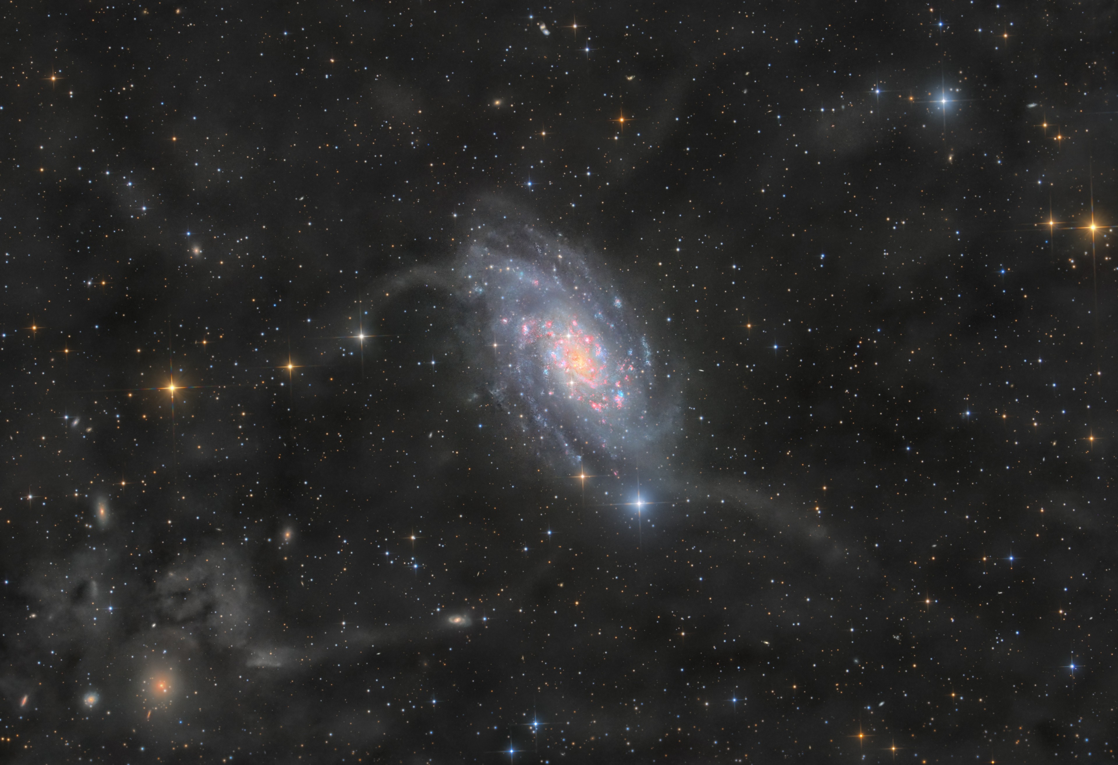 Magnificent island universe NGC 2403 stands within the boundaries of the long-necked constellation Camelopardalis. Some 10 million light-years distant and about 50,000 light-years across, the spiral galaxy also seems to have more than its fair share of giant star forming HII regions, marked by the telltale reddish glow of atomic hydrogen gas. The giant HII regions are energized by clusters of hot, massive stars that explode as bright supernovae at the end of their short and furious lives. A member of the M81 group of galaxies, NGC 2403 closely resembles a galaxy in our own local galaxy group with an abundance of star forming regions, M33, the Triangulum Galaxy. Spiky in appearance, bright stars in this portrait of NGC 2403 are in the foreground, within our own Milky Way. Also in the foreground of the deep, wide-field, telescopic image are the Milky Way's dim and dusty interstellar clouds also known as galactic cirrus or integrated flux nebulae. But faint features that seem to extend from NGC 2403 itself are likely tidal stellar streams drawn out by gravitational interactions with neighboring galaxies.