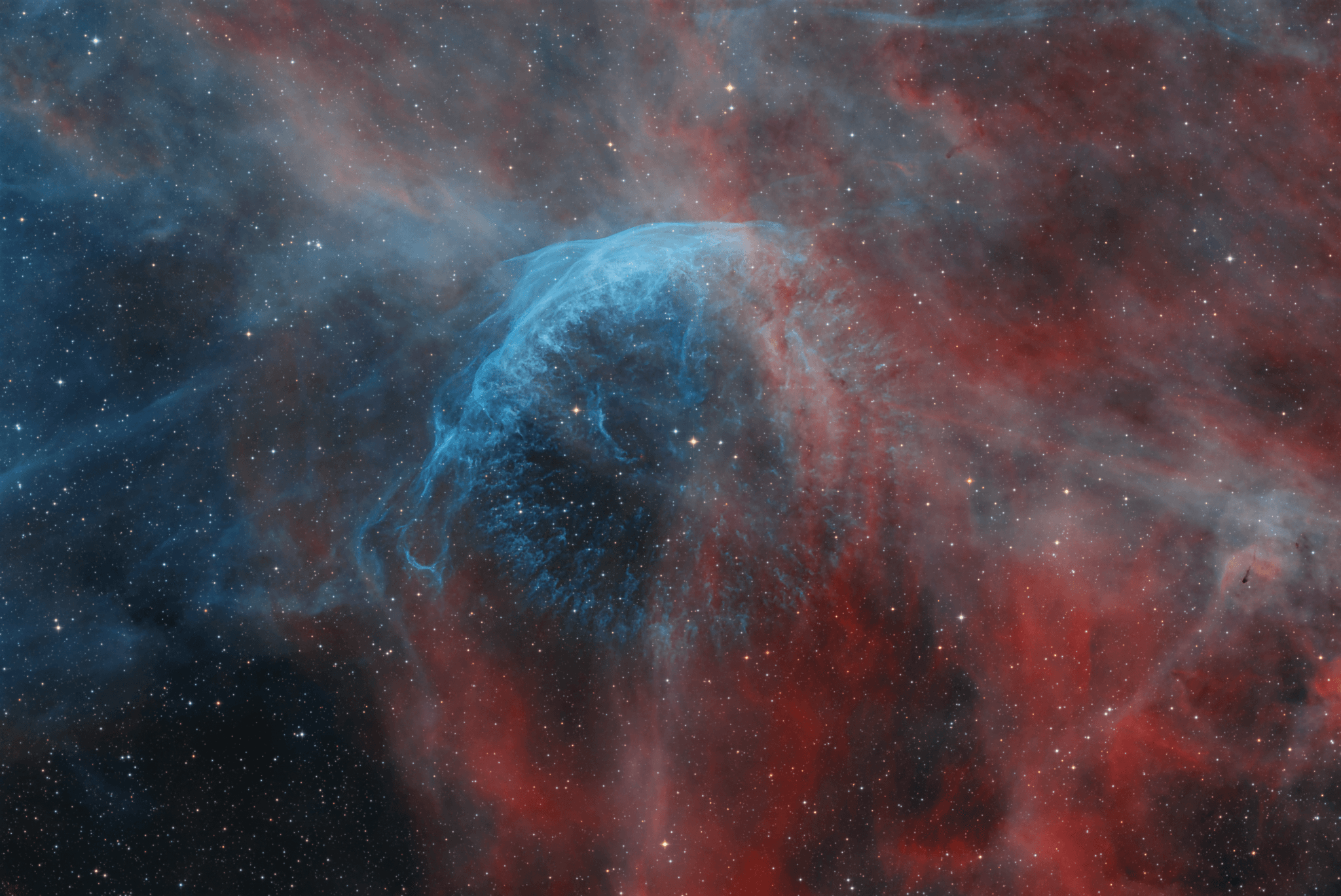 Made with narrowband filters, this cosmic snapshot covers a field of view over twice as wide as the full Moon within the boundaries of the constellation Cygnus. It highlights the bright edge of a ring-like nebula traced by the glow of ionized hydrogen and oxygen gas. Embedded in the region's expanse of interstellar clouds, the complex, glowing arcs are sections of shells of material swept up by the wind from Wolf-Rayet star WR 134, brightest star near the center of the frame. Distance estimates put WR 134 about 6,000 light-years away, making the frame over 100 light-years across. Shedding their outer envelopes in powerful stellar winds, massive Wolf-Rayet stars have burned through their nuclear fuel at a prodigious rate and end this final phase of massive star evolution in a spectacular supernova explosion. The stellar winds and final supernova enrich the interstellar material with heavy elements to be incorporated in future generations of stars.