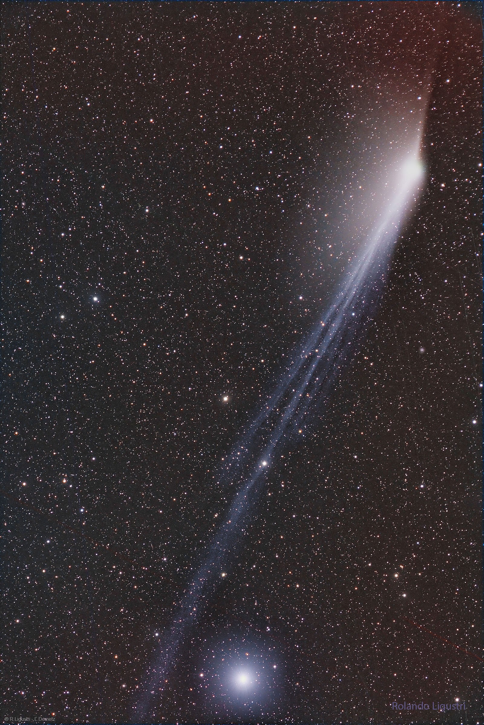 Why does Comet Pons-Brooks now have tails pointing in opposite directions?  The most spectacular tail is the blue-glowing ion tail that is visible flowing down the image.  The ion tail is pushed directly out from the Sun by the solar wind. On the upper right is the glowing central coma of Comet 12P/Pons–Brooks. Fanning out from the coma, mostly to the left, is the comet's dust tail. Pushed out and slowed down by the pressure of sunlight, the dust tail tends to trail the comet along its orbit and, from some viewing angles, can appear opposite to the ion tail.  The distant, bright star Alpha Leporis is seen at the bottom of the featured image captured last week from Namibia. Two days ago, the comet passed its closest to the Earth and is now best visible from southern skies as it dims and glides back to the outer Solar System.