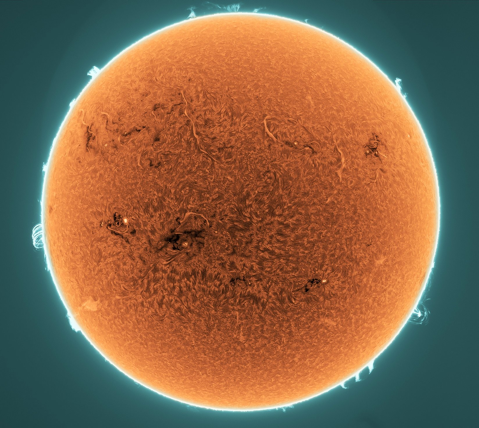 This colorized and digitally sharpened image of the Sun is composed of frames recording emission from hydrogen atoms in the solar chromosphere on May 15. Approaching the maximum of solar cycle 25, a multitude of planet-dwarfing active regions and twisting, snake-like solar filaments are seen to sprawl across the surface of the active Sun.  Suspended in the active regions' strong magnetic fields, the filaments of plasma lofted beyond the Sun's edge appear as bright solar prominences. The large prominences seen near 4 o'clock, and just before 9 o'clock around the solar limb are post flare loops from two powerful X-class solar flares that both occurred on that day. In fact, the 4 o'clock prominence is associated with the monster active region AR 3664 just rotating off the Sun's edge.