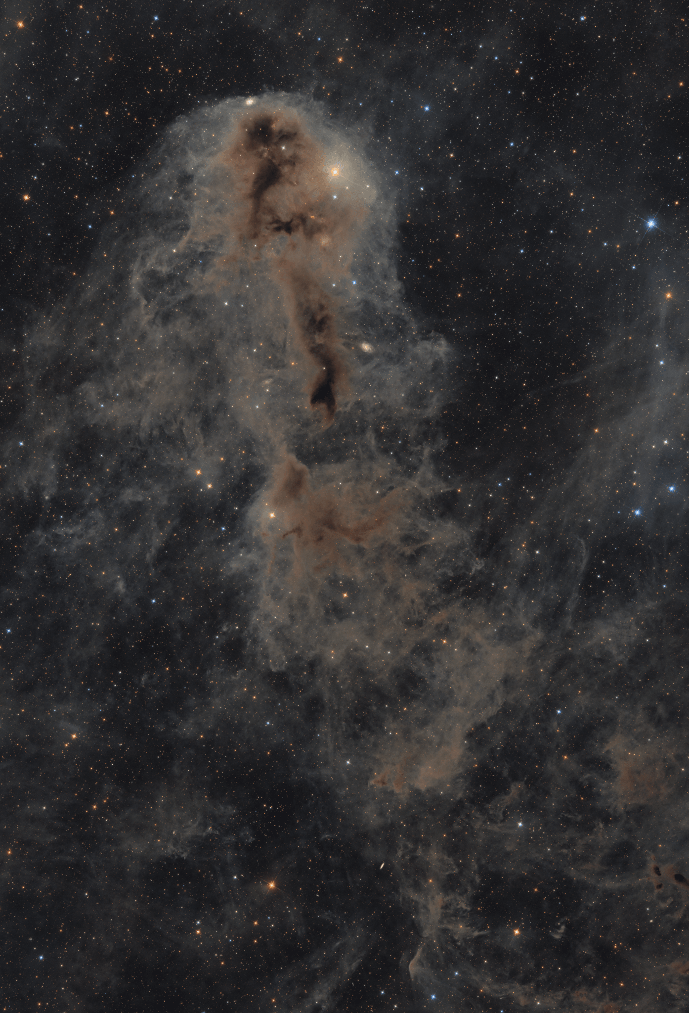 Stars are forming in Lynds Dark Nebula (LDN) 1251. About 1,000 light-years away and drifting above the plane of our Milky Way galaxy, LDN 1251 is also less appetizingly known as "The Rotten Fish Nebula." The dusty molecular cloud is part of a complex of dark nebulae mapped toward the Cepheus flare region. Across the spectrum, astronomical explorations of the obscuring interstellar clouds reveal energetic shocks and outflows associated with newborn stars, including the telltale reddish glow from scattered Herbig-Haro objects hiding in the image. Distant background galaxies also lurk in the scene, almost buried behind the dusty expanse. This alluring view spans over four full moons on the sky, or 35 light-years at the estimated distance of LDN 1251.