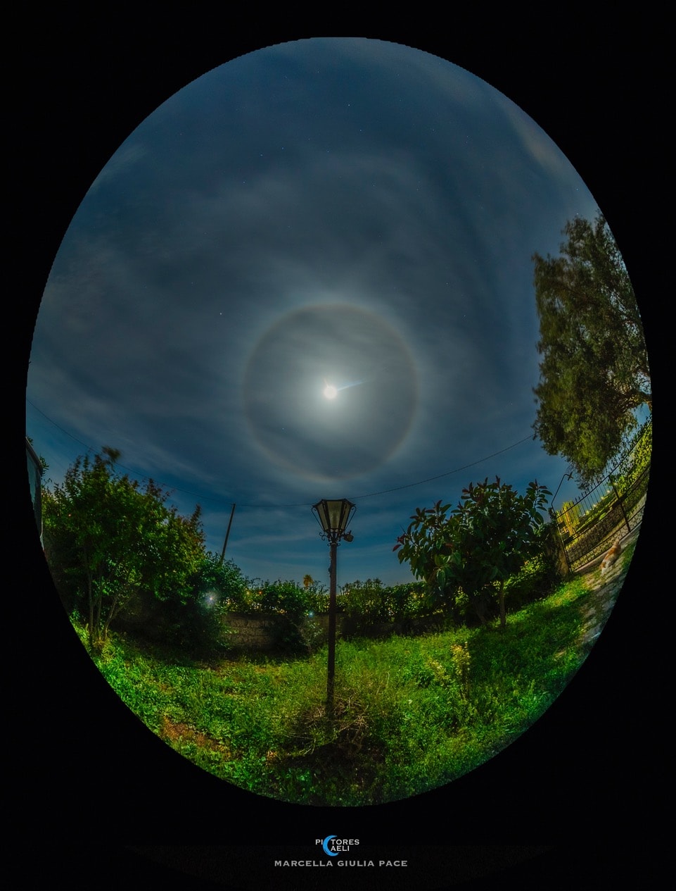 Last April's Full Moon shines through high clouds near the horizon, casting shadows in this garden-at-night skyscape. Along with canine sentinel Sandy watching the garden gate, the wide-angle snapshot also captured the bright Moon's 22 degree ice halo. But June's bright Full Moon will cast shadows too. This month, the Moon's exact full phase occurs at 01:08 UTC June 22. That's a mere 28 hours or so after today's June solstice (at 20:51 UTC June 20), the moment when the Sun reaches its maximum northern declination. Known to some as a Strawberry Moon, June's Full Moon is at its southernmost declination, and of course will create its own 22 degree halos in hazy night skies.